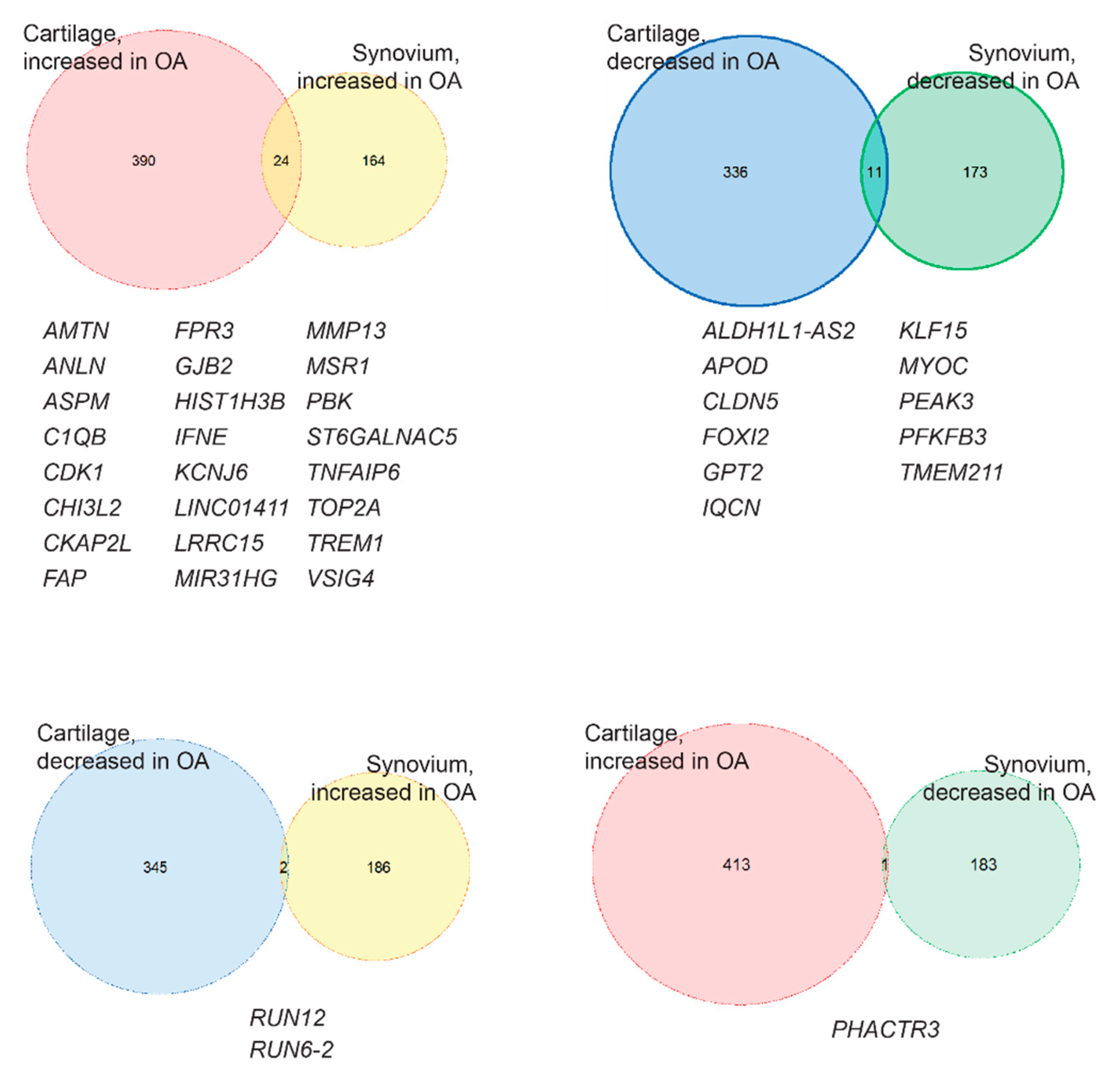 Ijms 21 06033 g003 Ijms 21 06033 g003