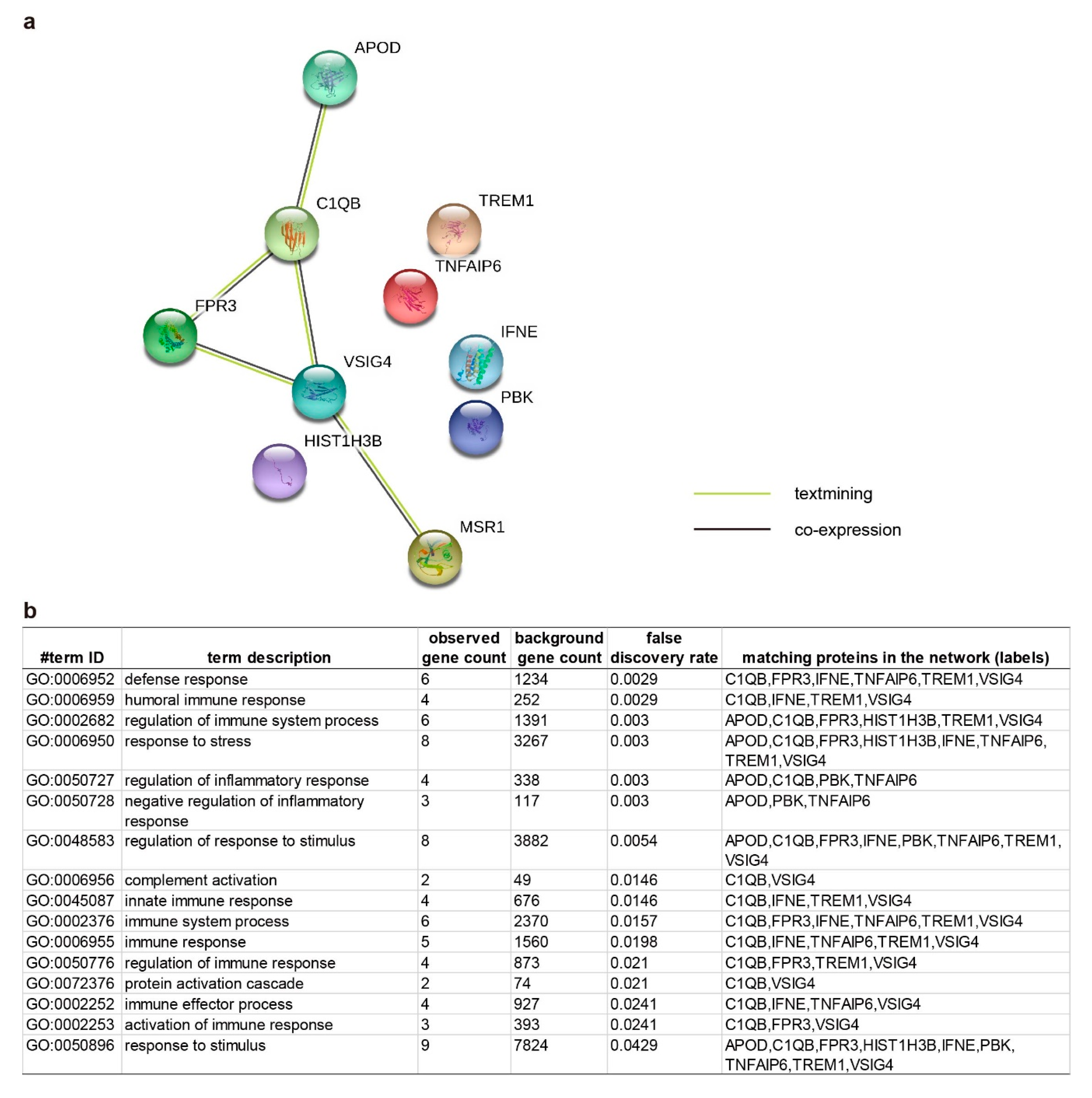Ijms 21 06033 g005 Ijms 21 06033 g005