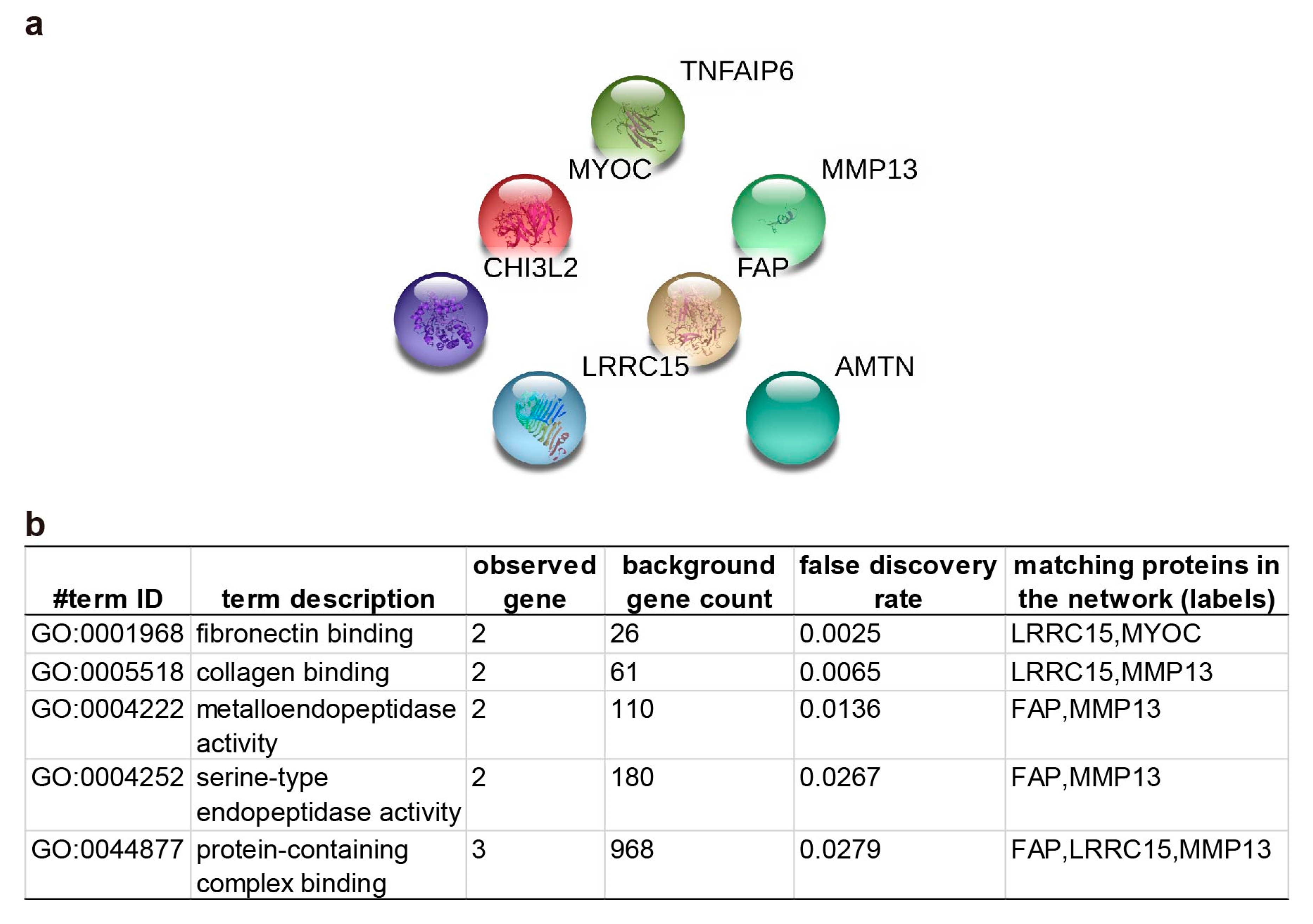 Ijms 21 06033 g006 Ijms 21 06033 g006