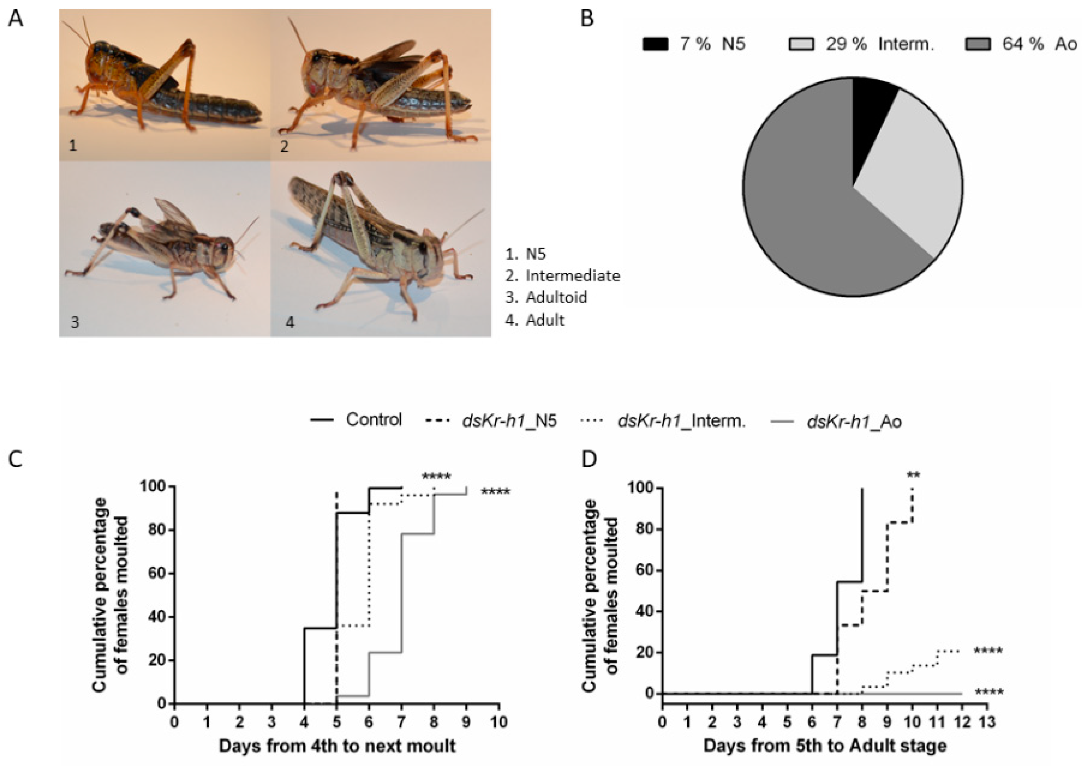 Ijms 21 06058 g001 Ijms 21 06058 g001