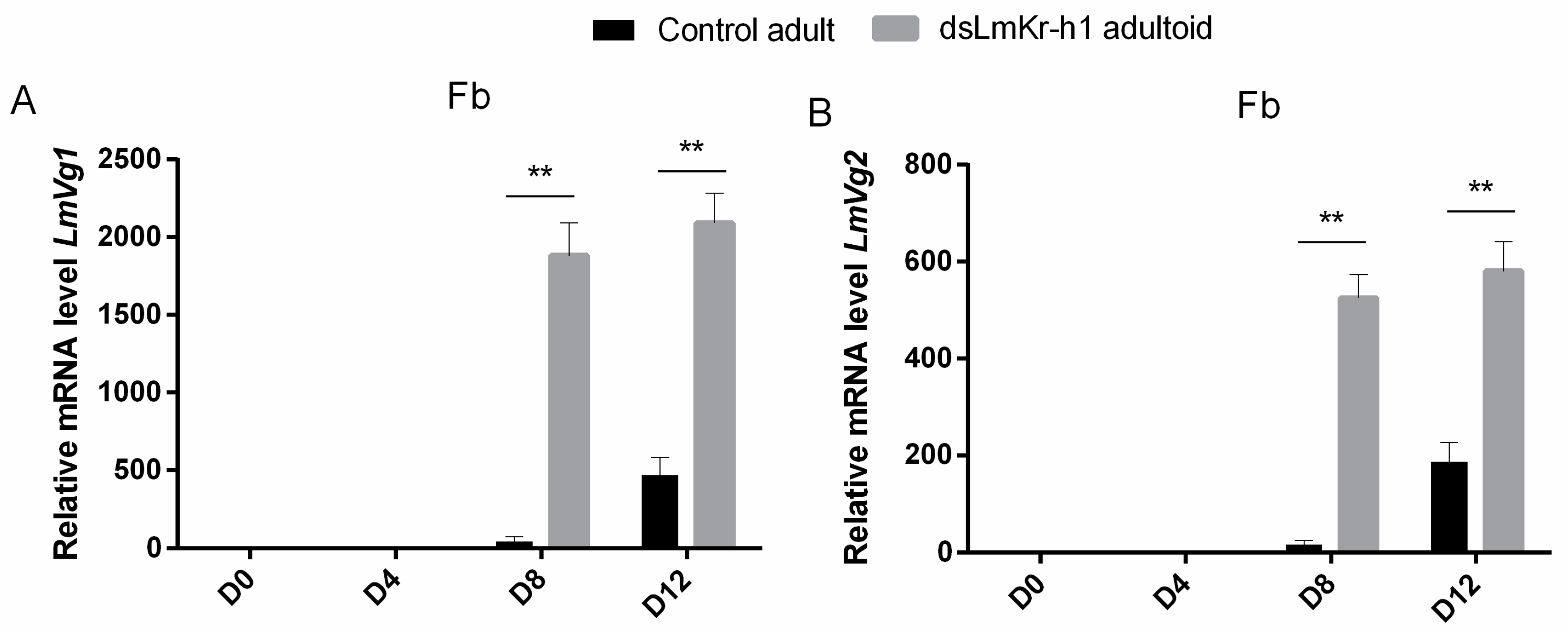 Ijms 21 06058 g003 Ijms 21 06058 g003