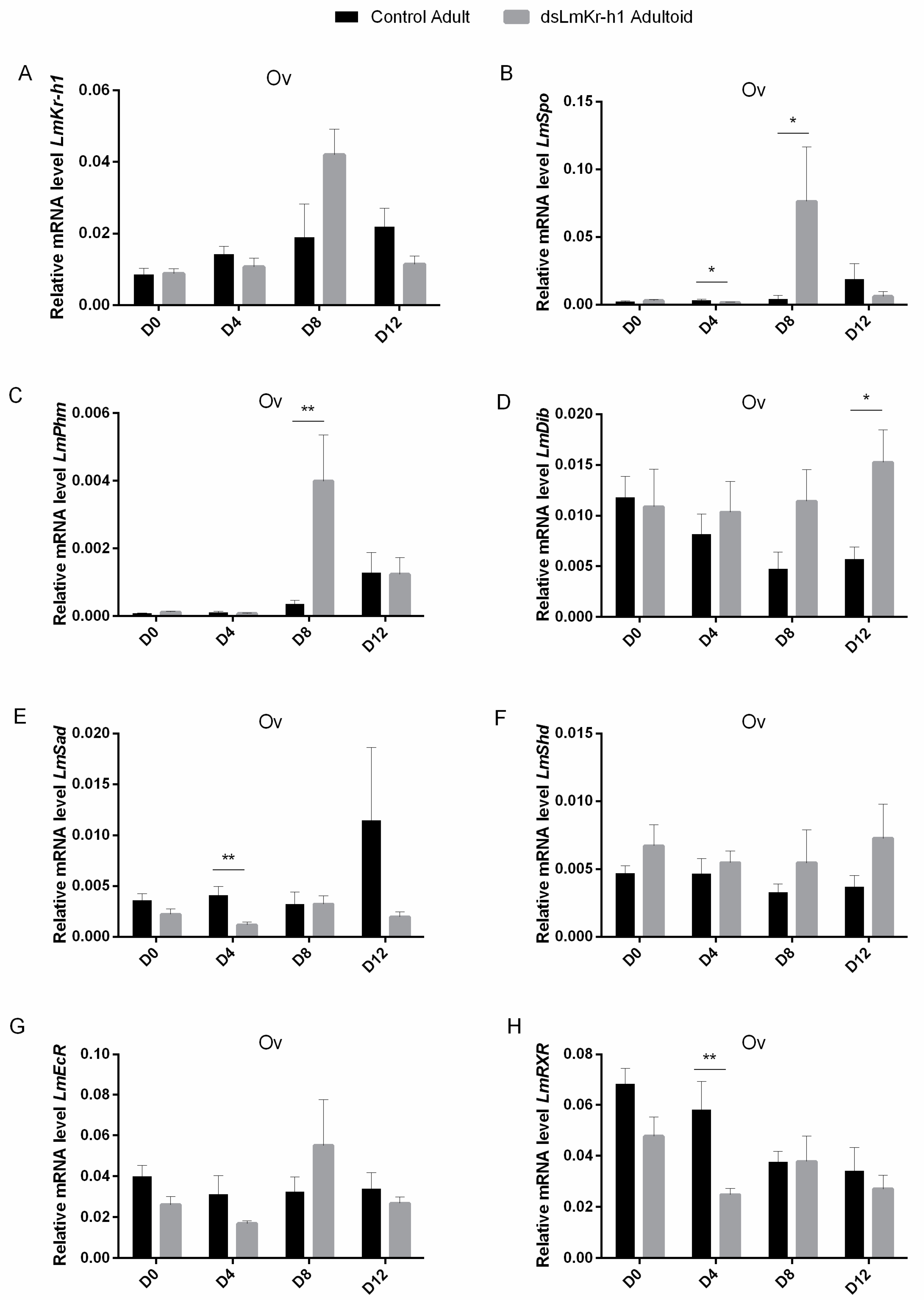 Ijms 21 06058 g005 Ijms 21 06058 g005