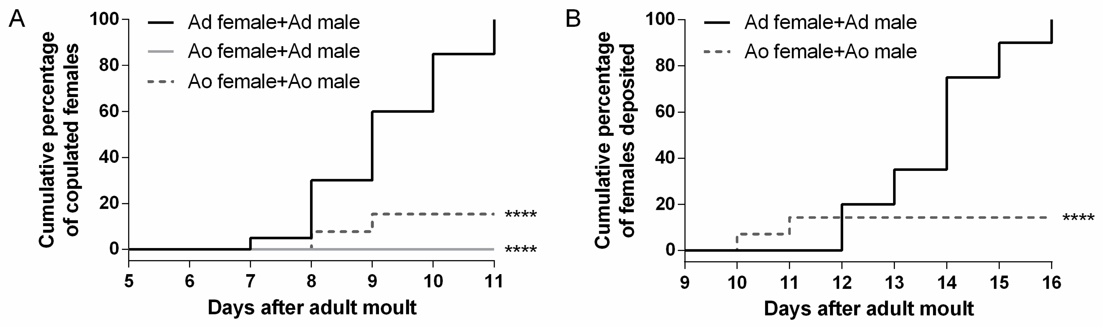 Ijms 21 06058 g006 Ijms 21 06058 g006