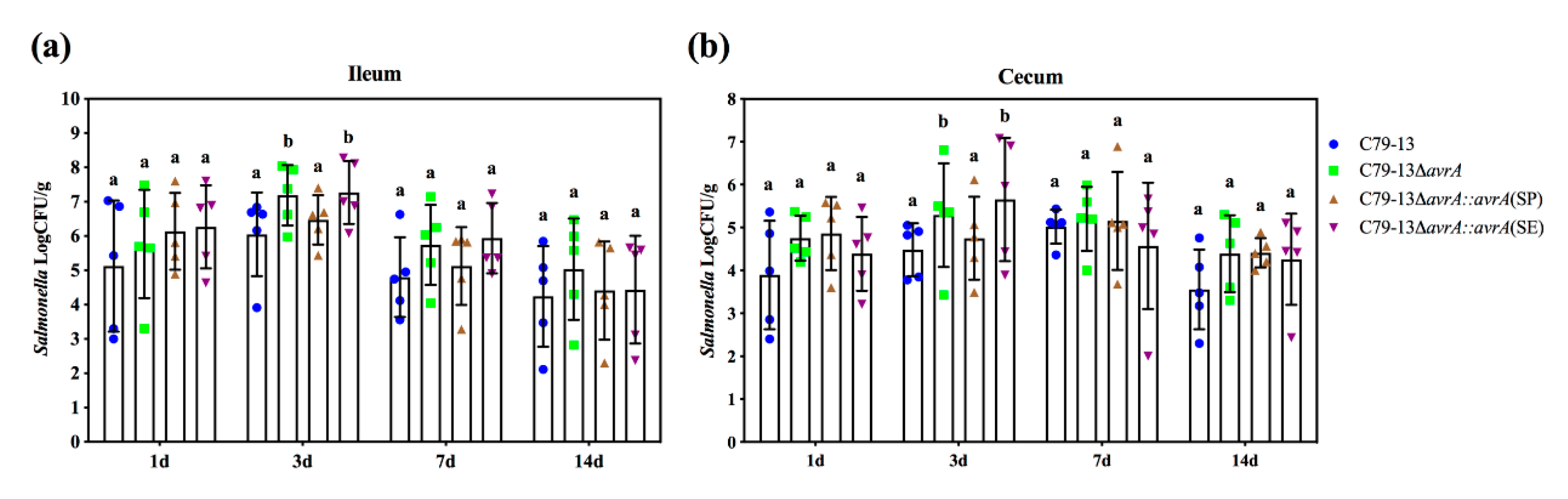 Ijms 21 06063 g007 Ijms 21 06063 g007