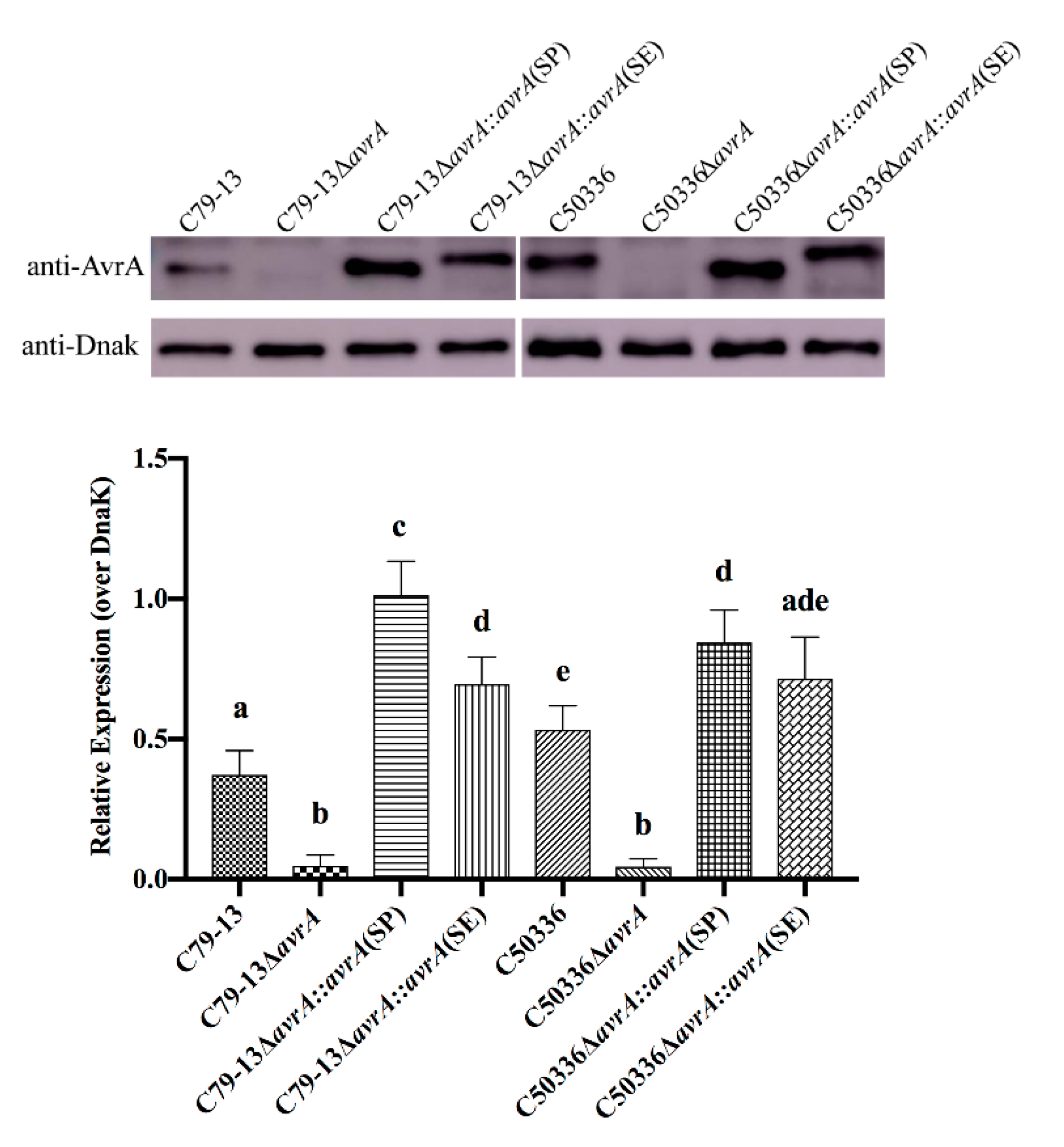 Ijms 21 06063 g008 Ijms 21 06063 g008