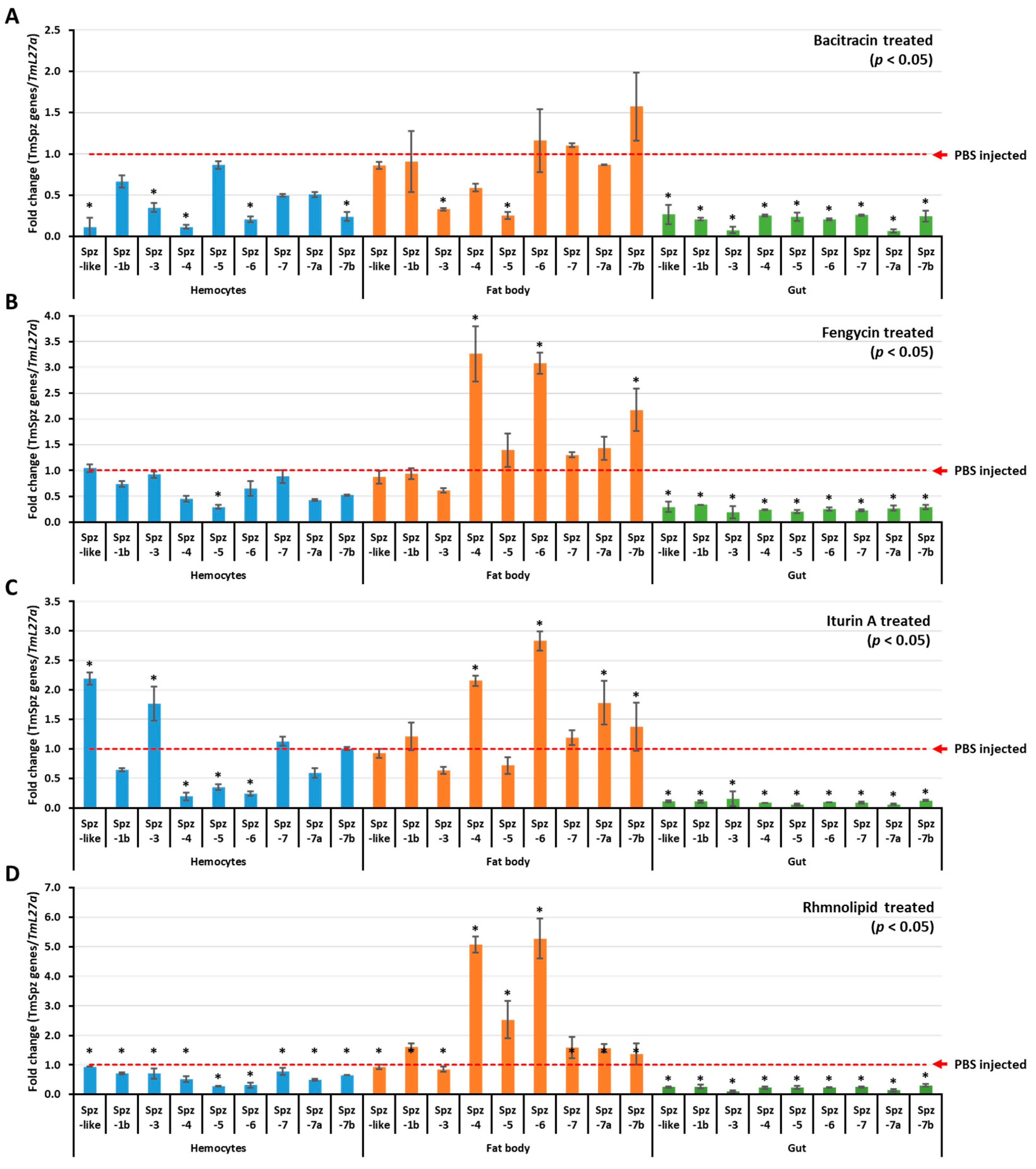 Ijms 21 06090 g004 Ijms 21 06090 g004