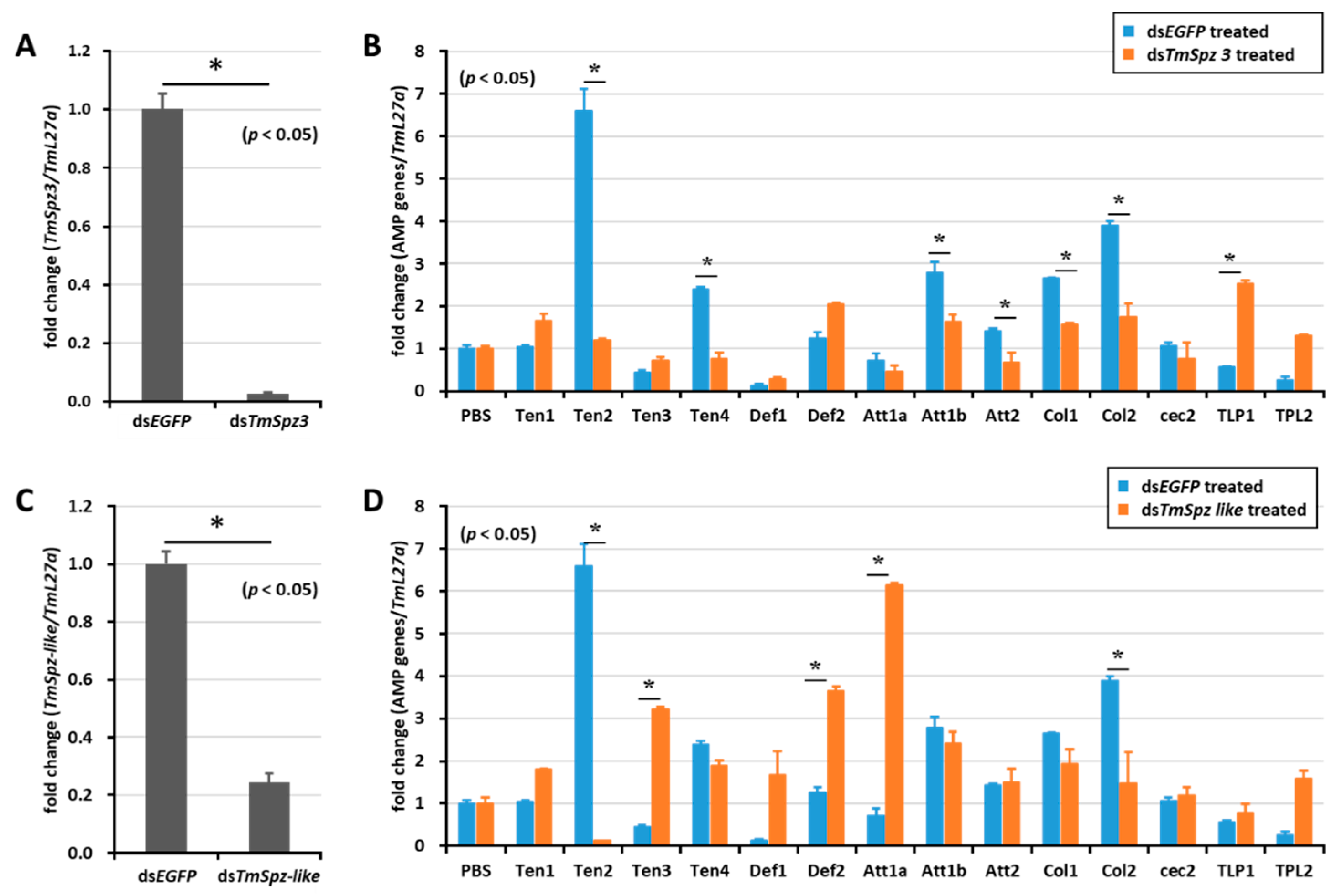 Ijms 21 06090 g005 Ijms 21 06090 g005