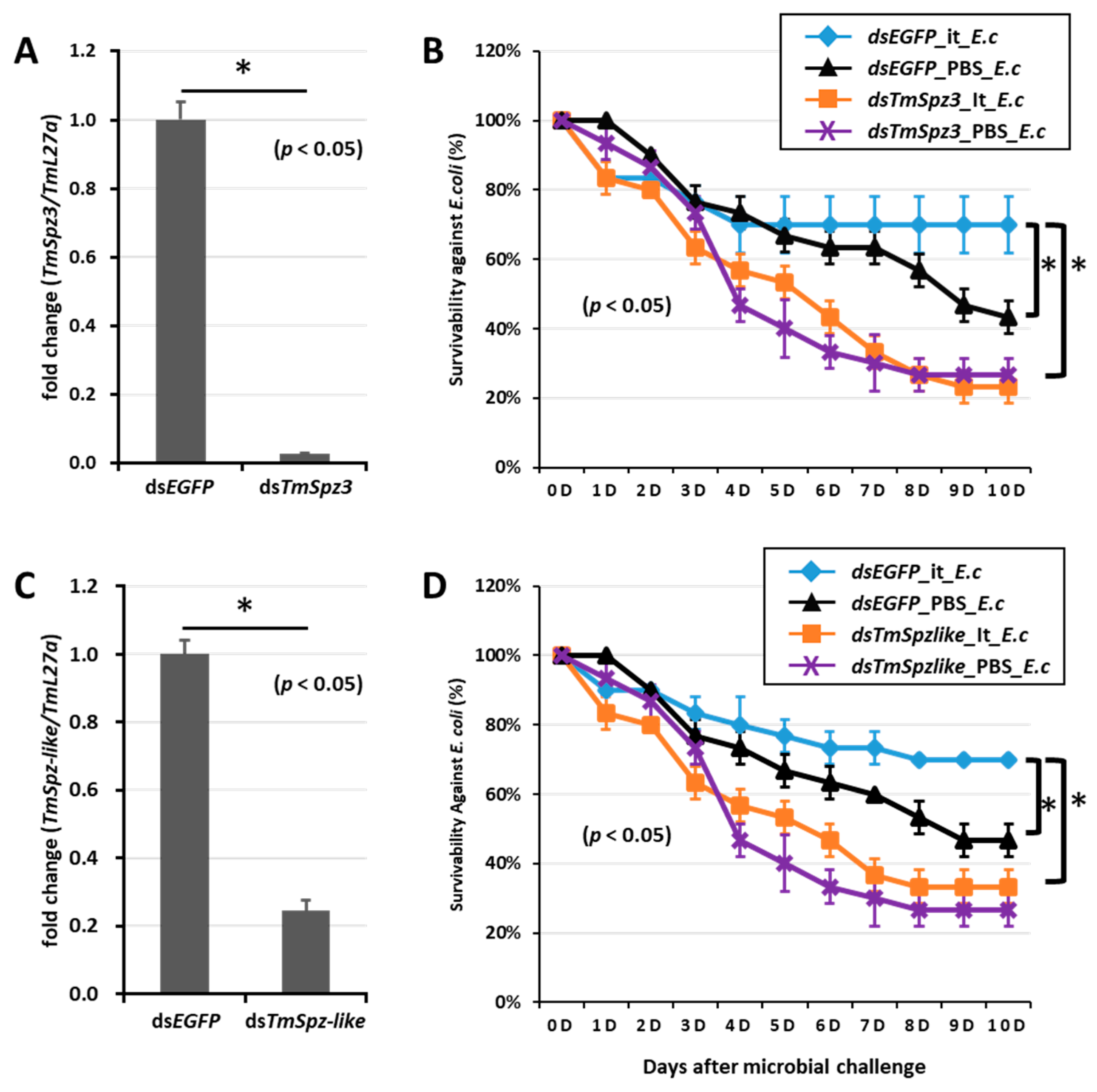 Ijms 21 06090 g008 Ijms 21 06090 g008