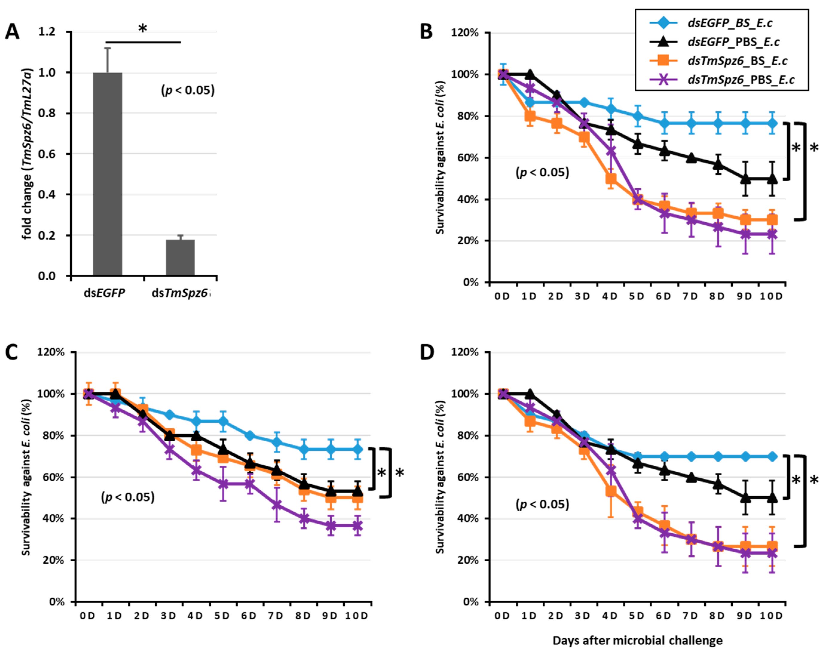 Ijms 21 06090 g010 Ijms 21 06090 g010