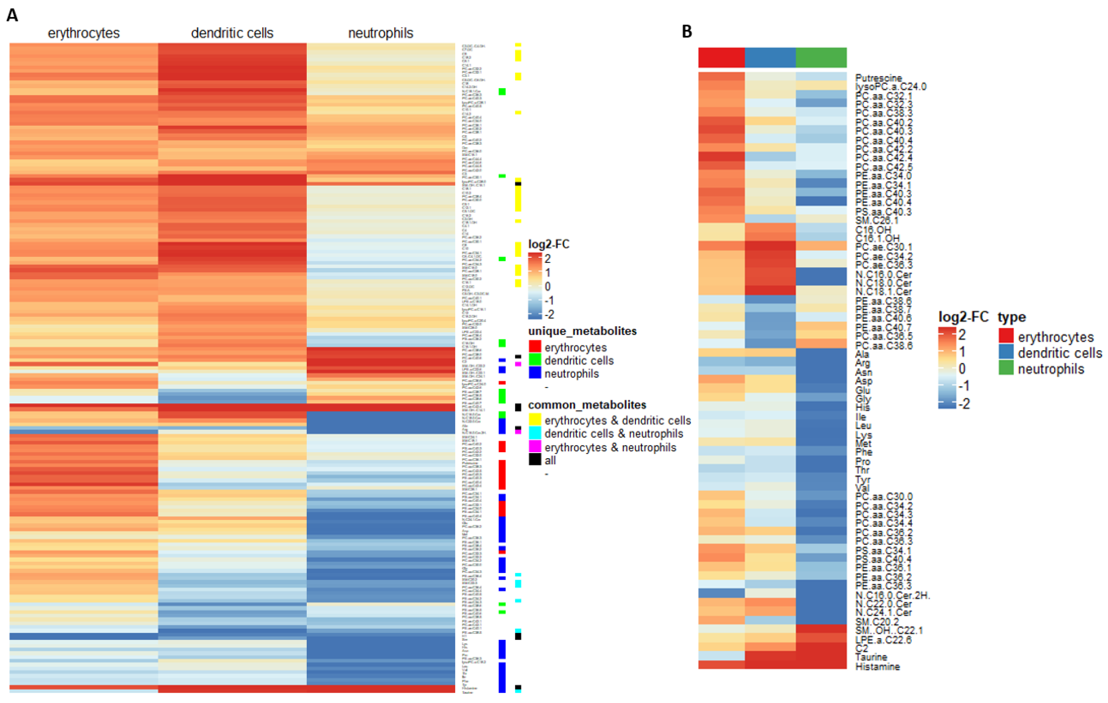 Ijms 21 06092 g002 Ijms 21 06092 g002
