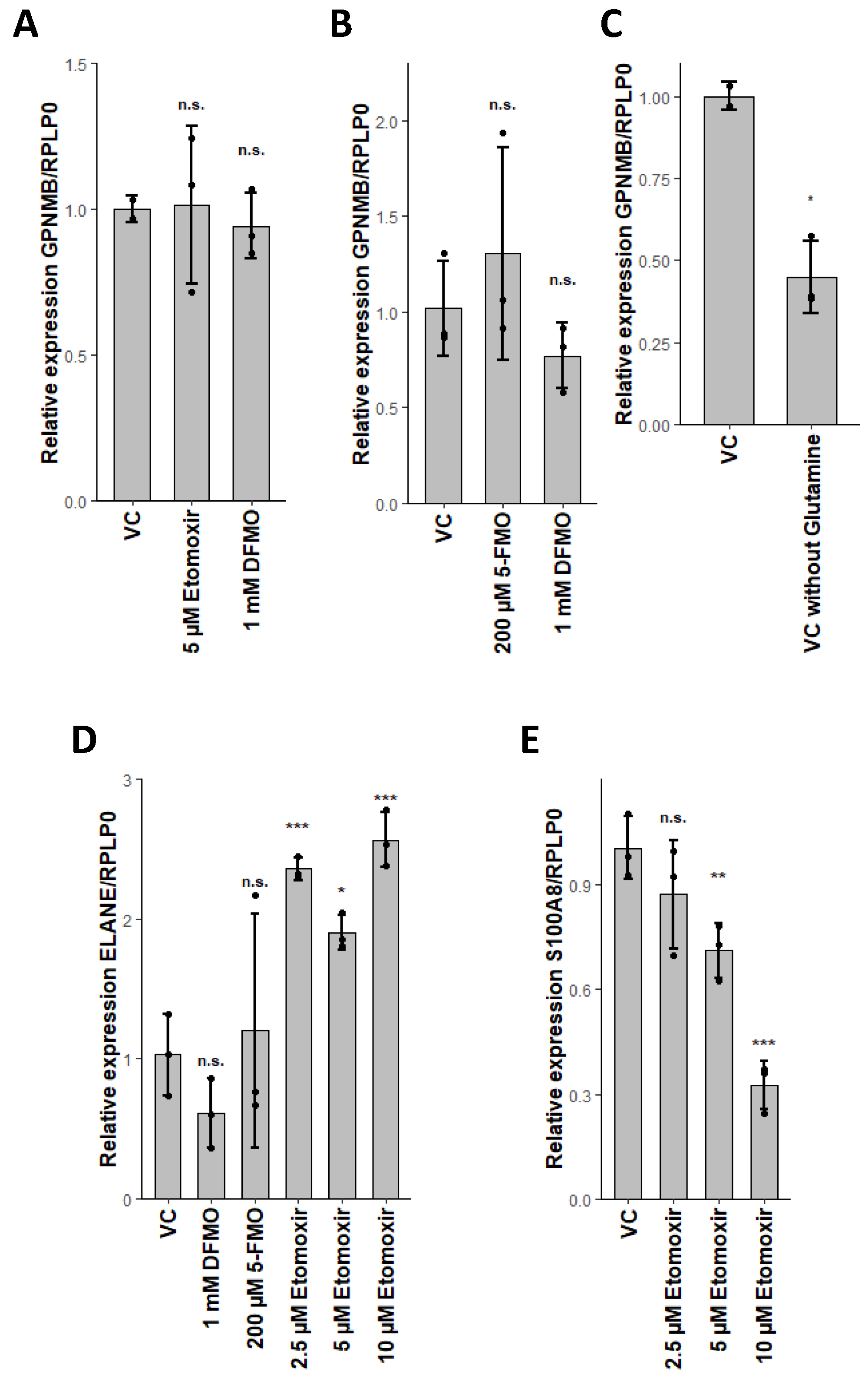 Ijms 21 06092 g003 Ijms 21 06092 g003