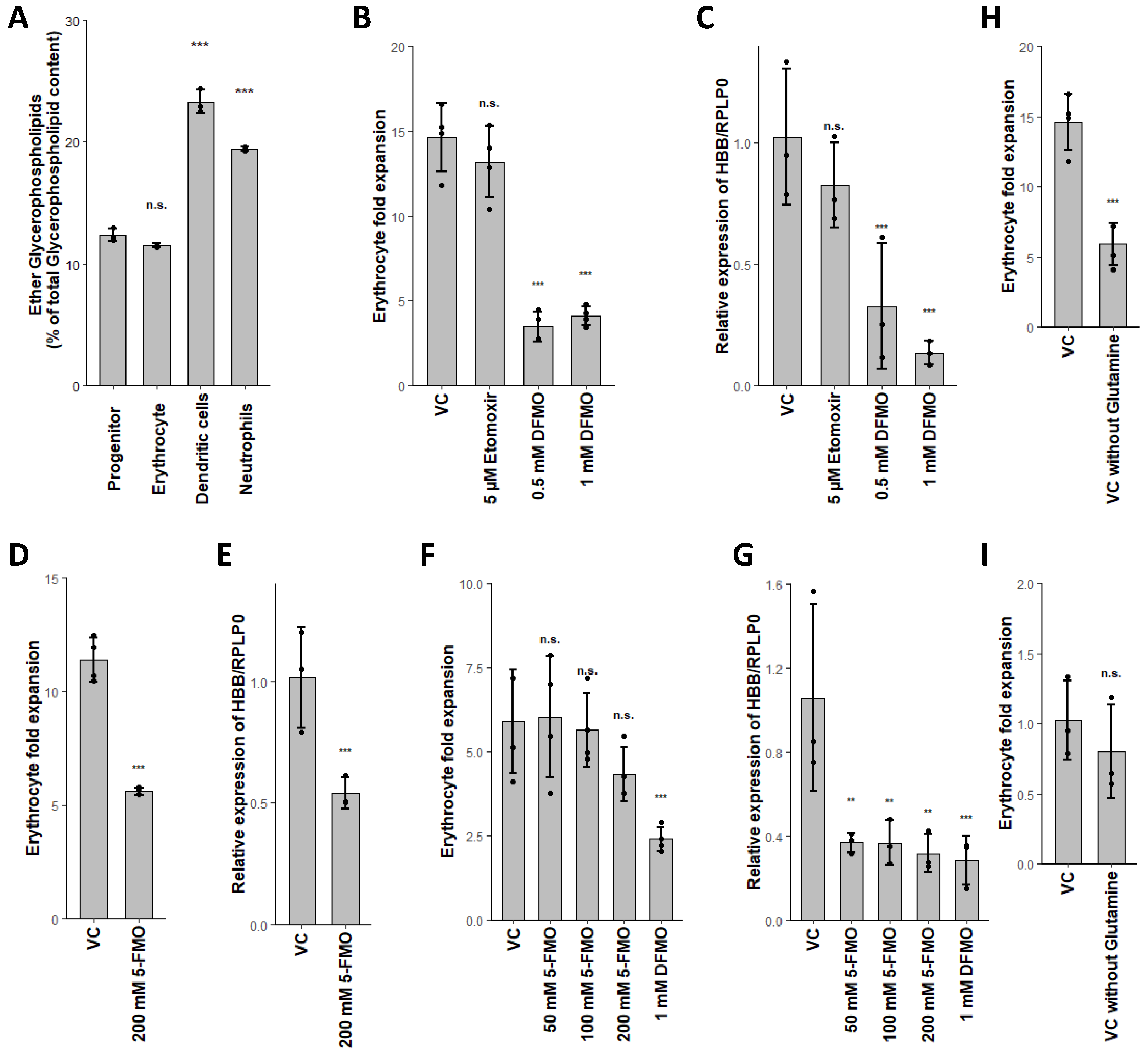 Ijms 21 06092 g004 Ijms 21 06092 g004