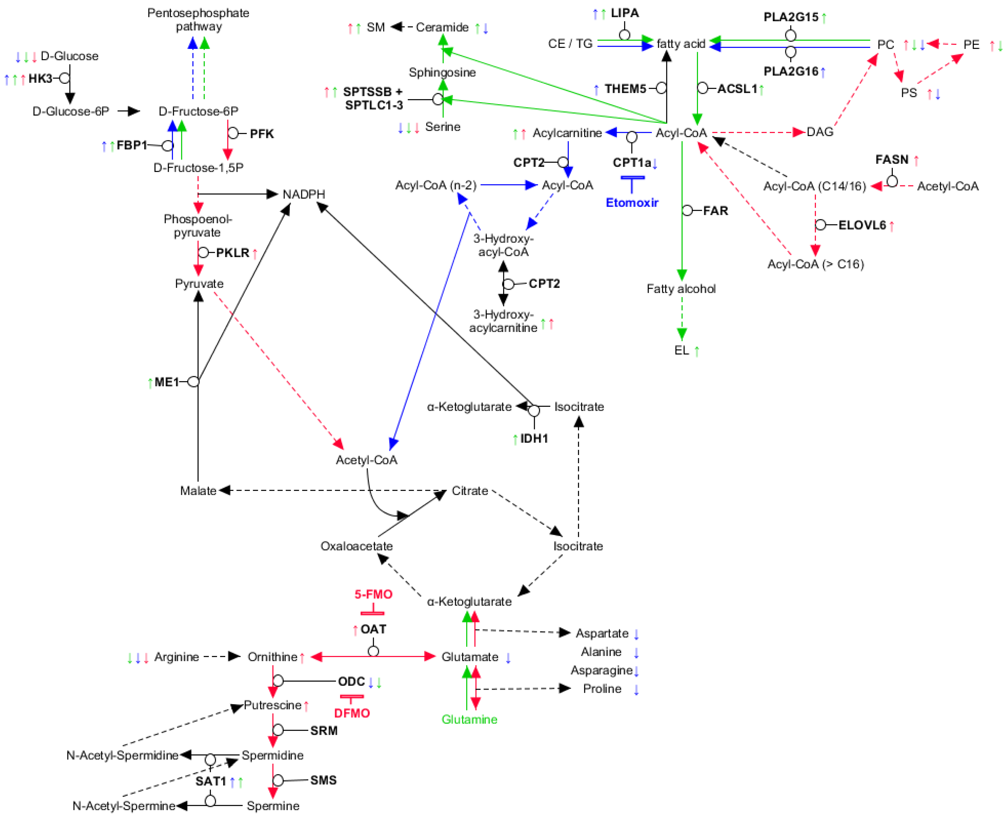 Ijms 21 06092 g005 Ijms 21 06092 g005