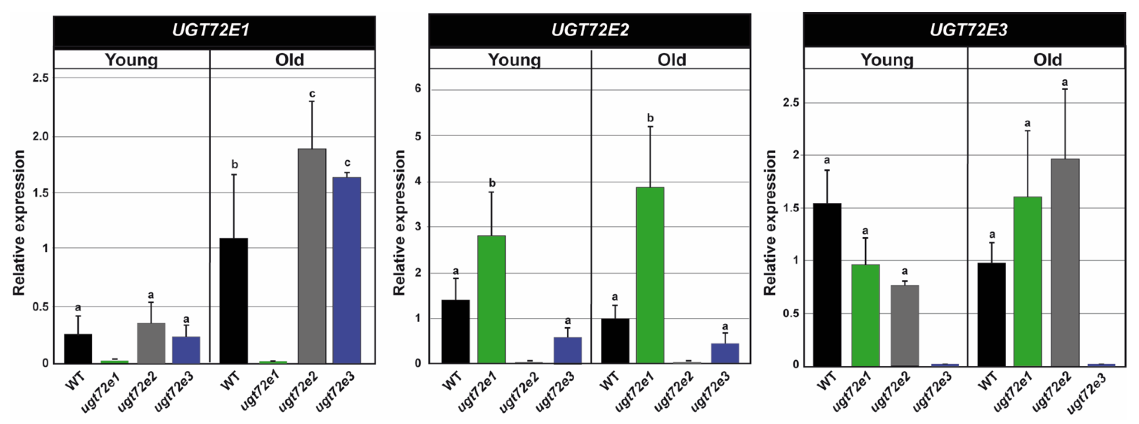 Ijms 21 06094 g002 Ijms 21 06094 g002