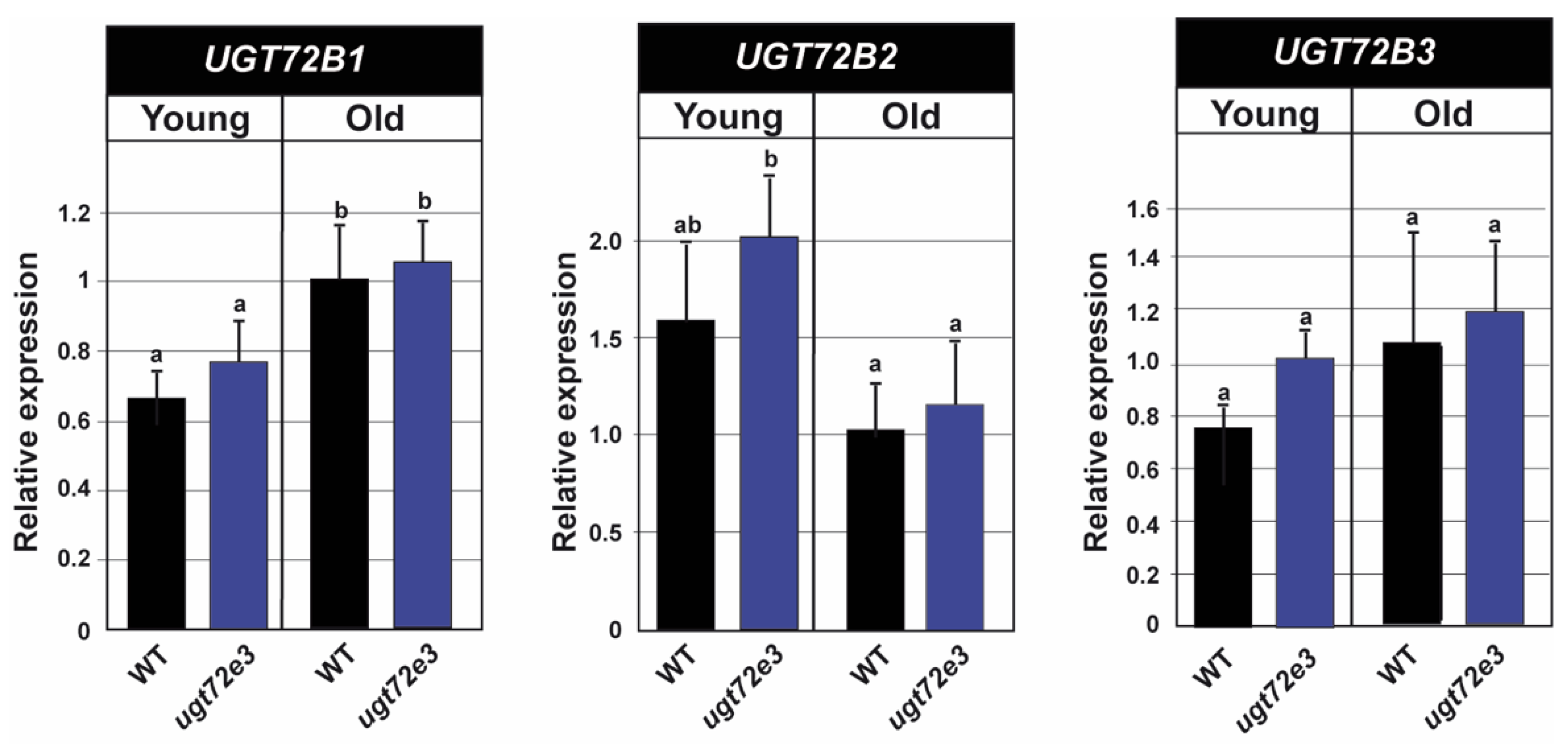 Ijms 21 06094 g009 Ijms 21 06094 g009