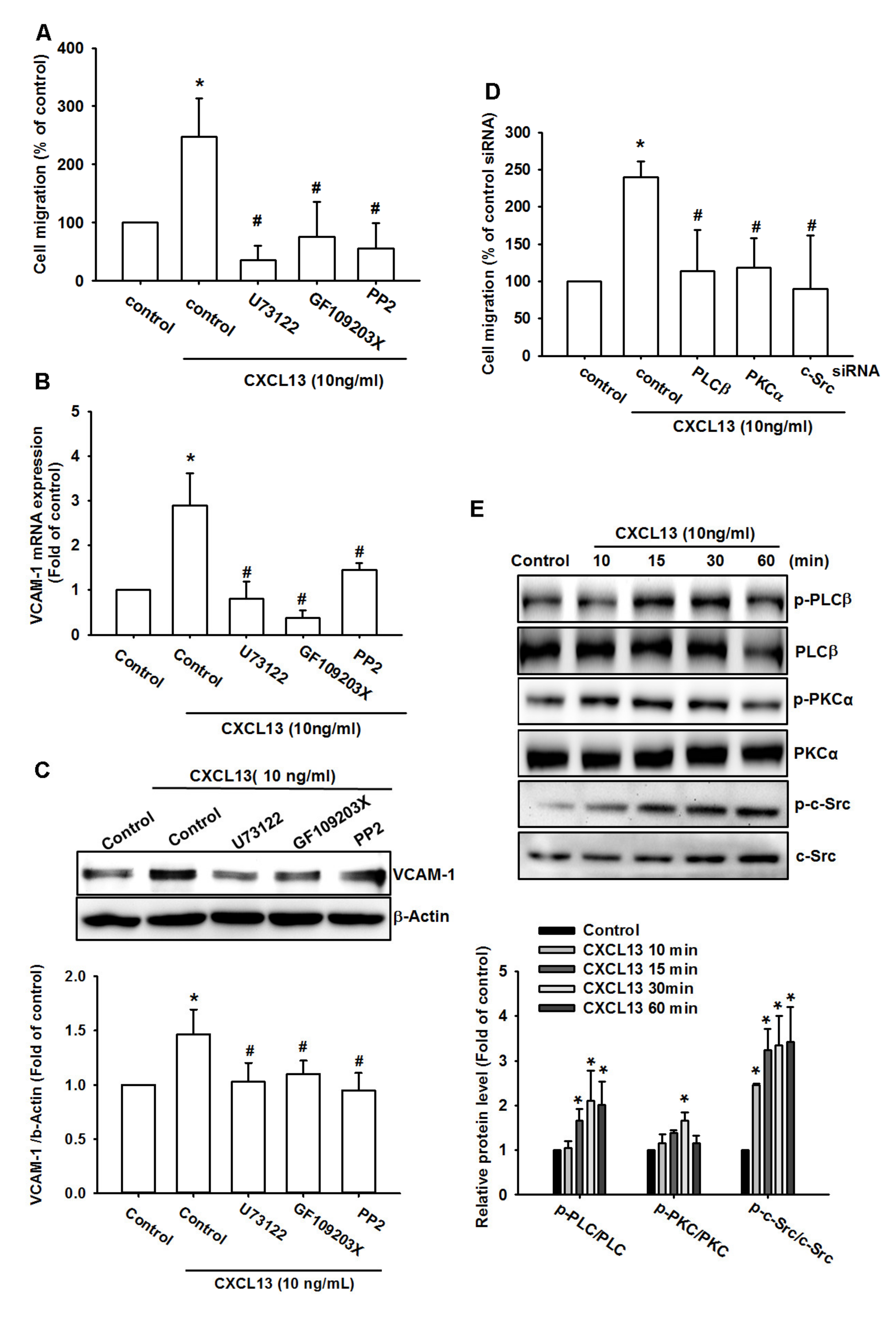 Ijms 21 06095 g004 Ijms 21 06095 g004
