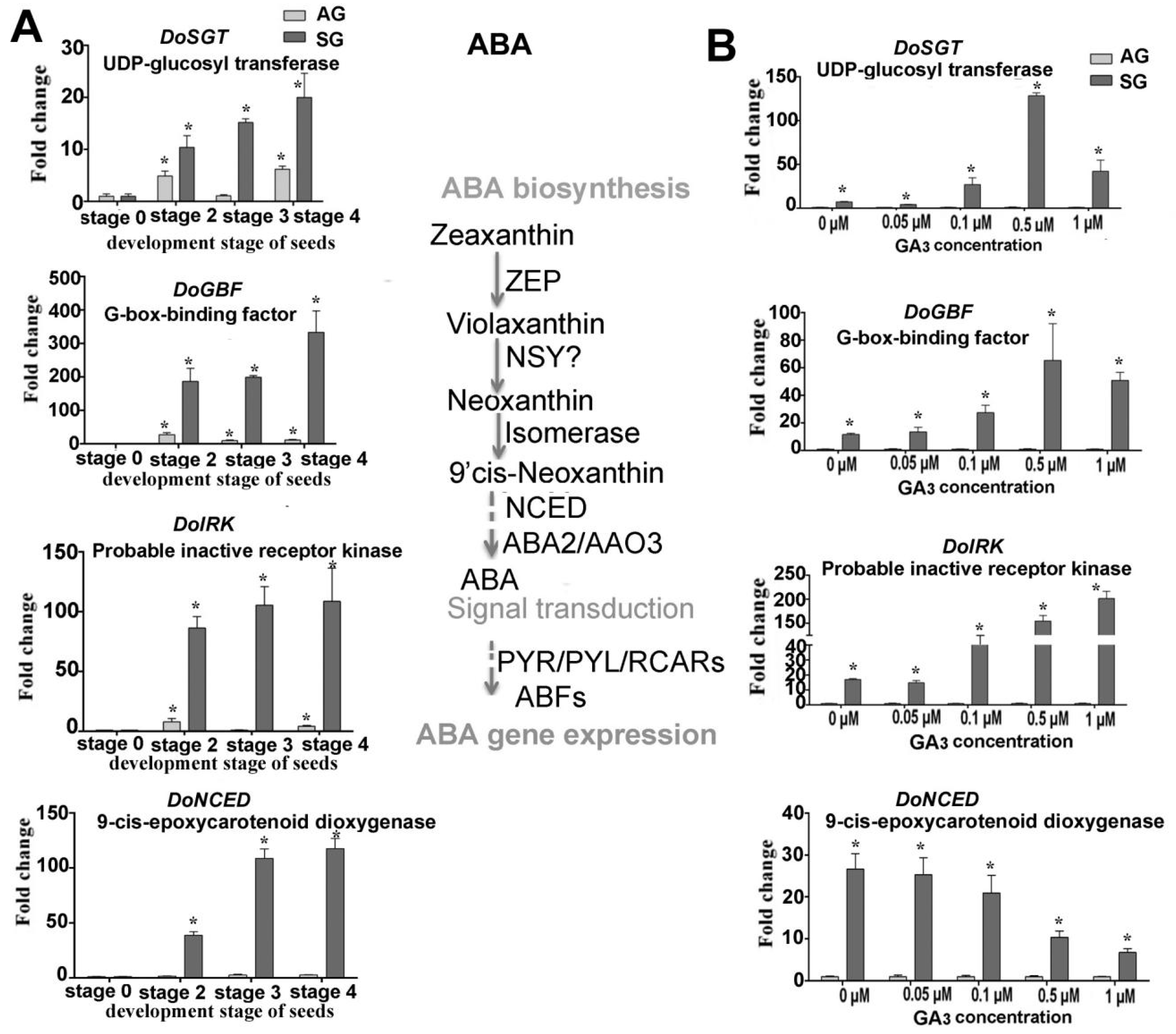 Ijms 21 06104 g005 Ijms 21 06104 g005