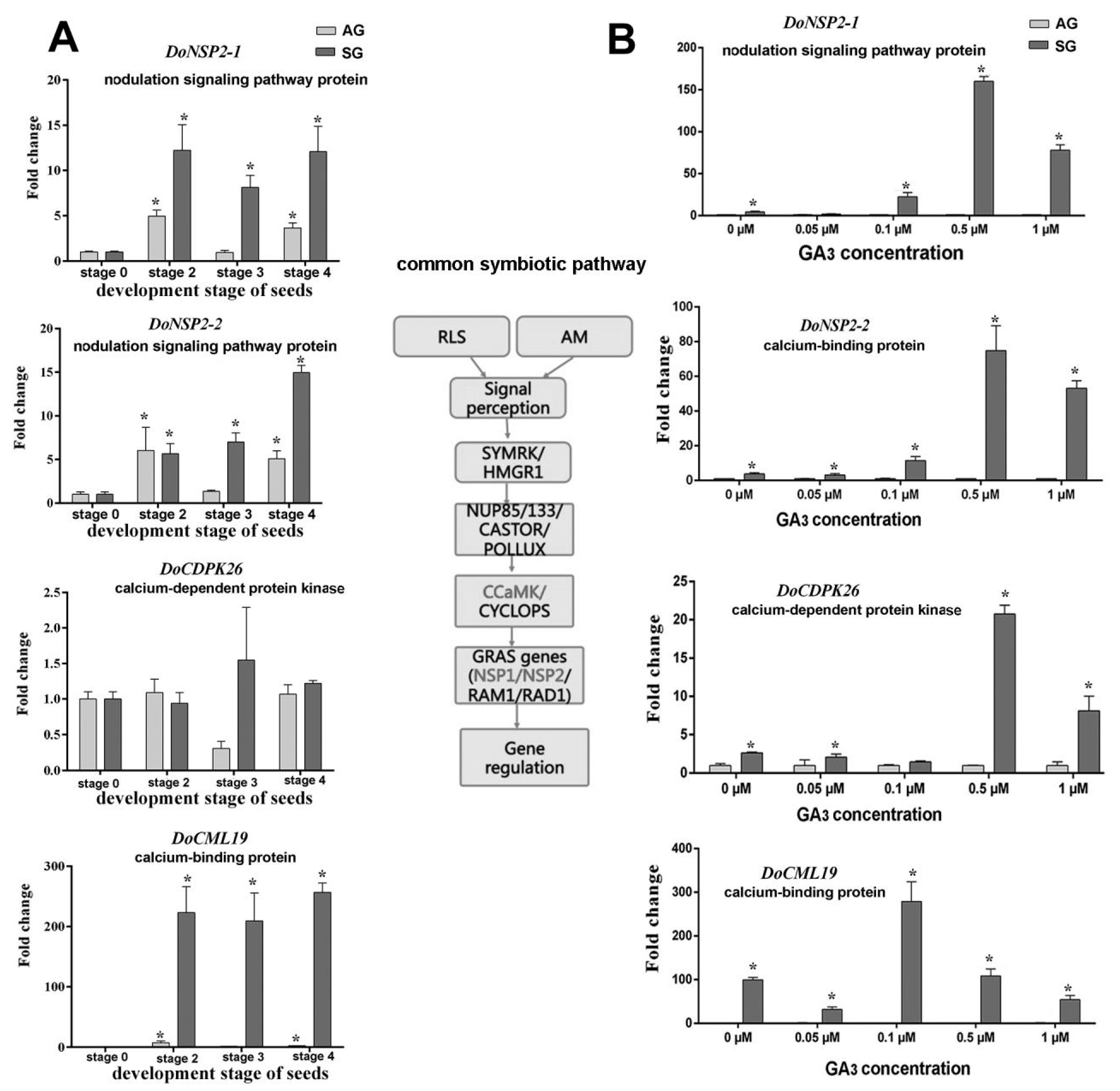 Ijms 21 06104 g007 Ijms 21 06104 g007