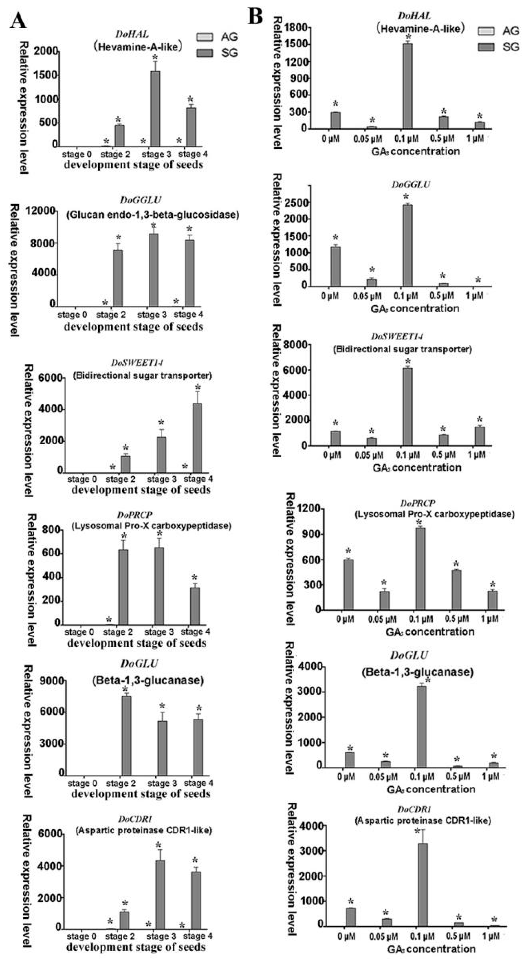 Ijms 21 06104 g008 Ijms 21 06104 g008