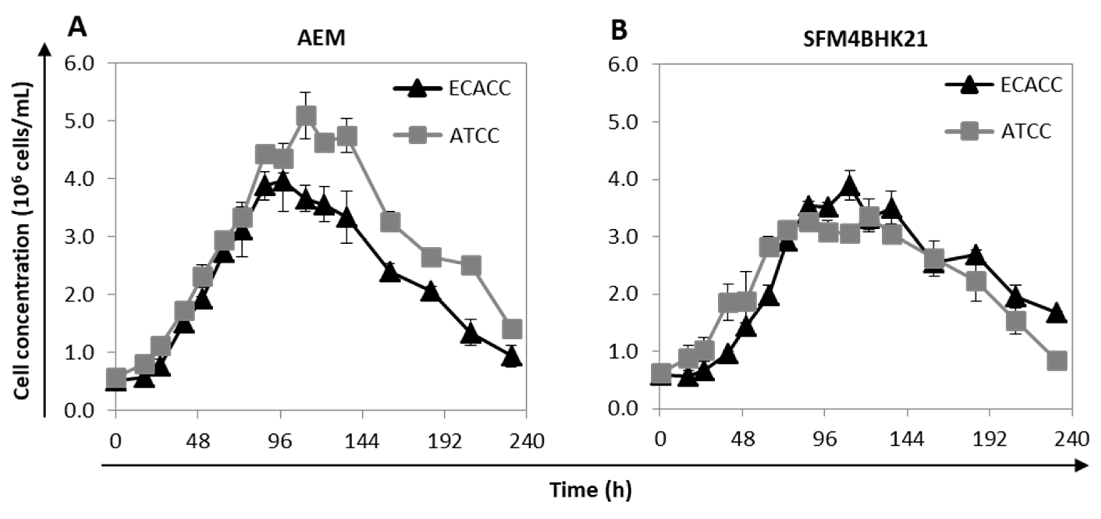 Ijms 21 06111 g003 Ijms 21 06111 g003