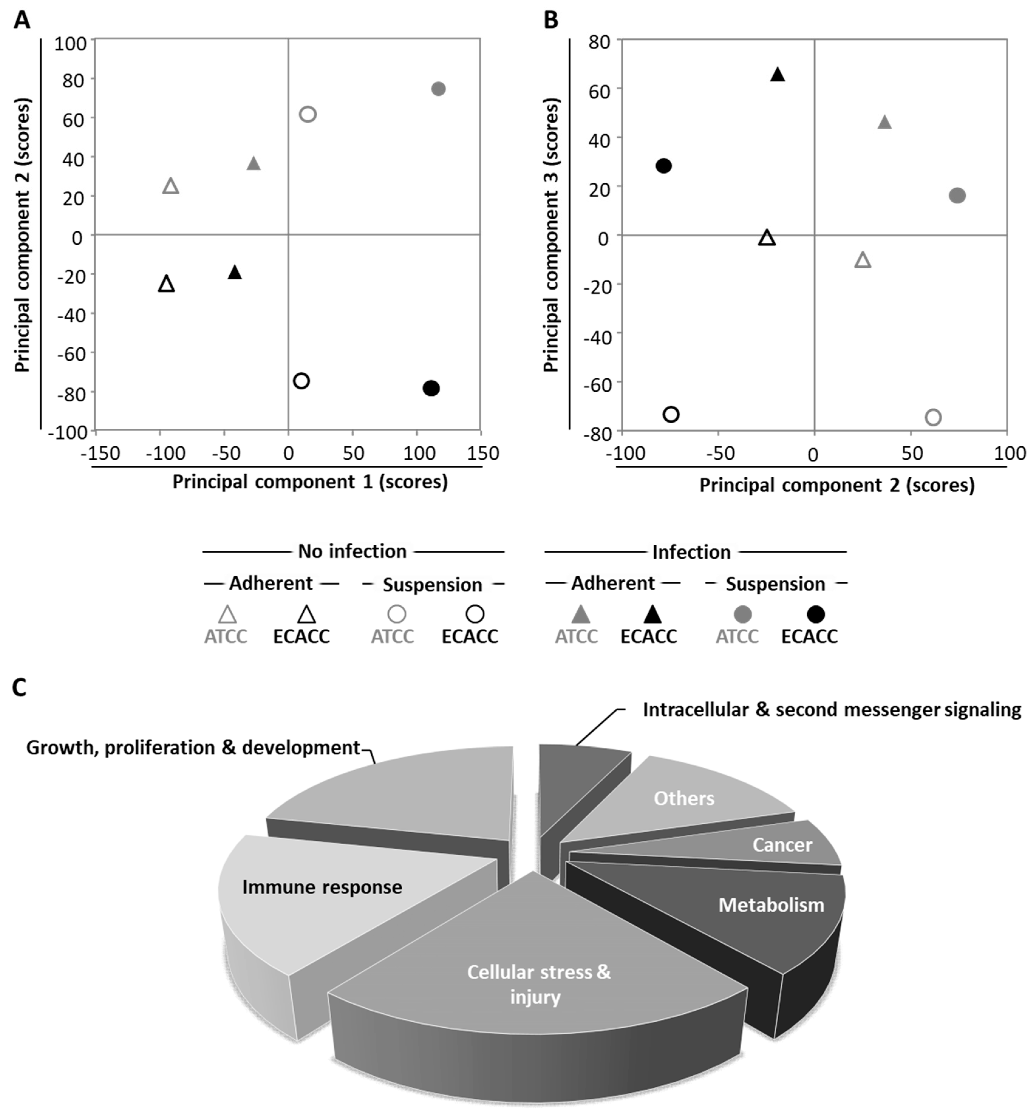 Ijms 21 06111 g006 Ijms 21 06111 g006