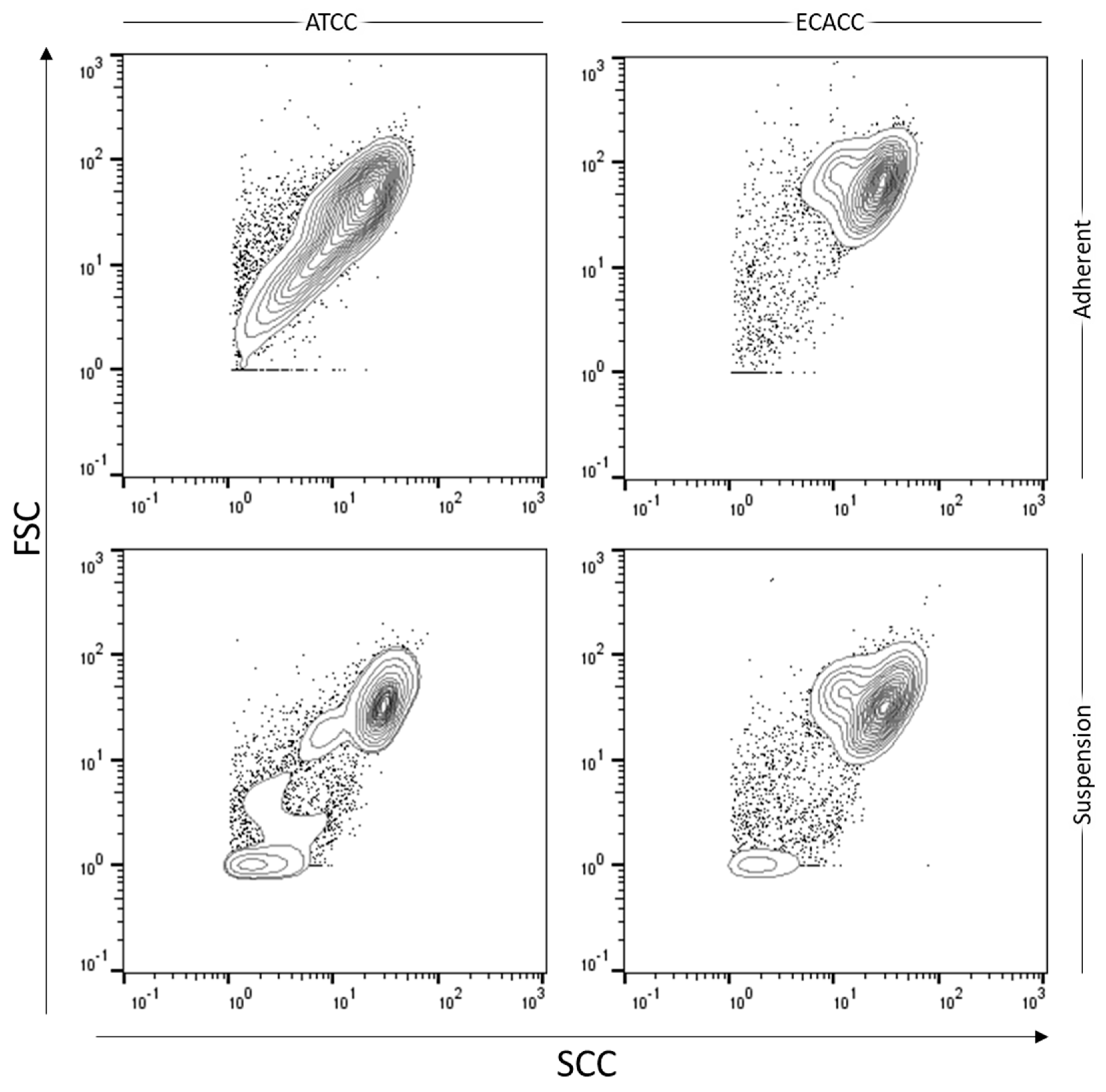 Ijms 21 06111 g0a3 Ijms 21 06111 g0a3