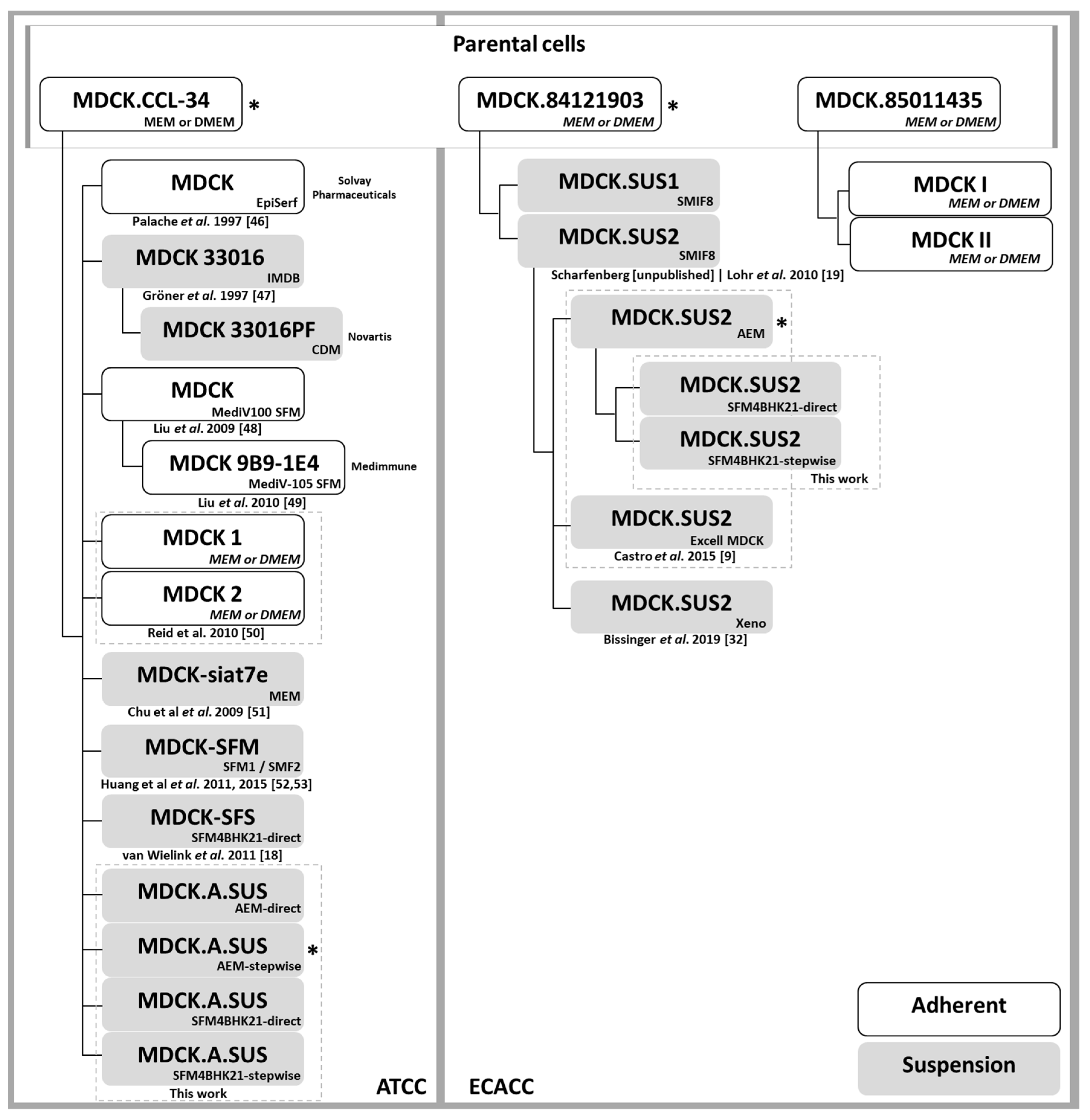 Ijms 21 06111 g0a4 Ijms 21 06111 g0a4