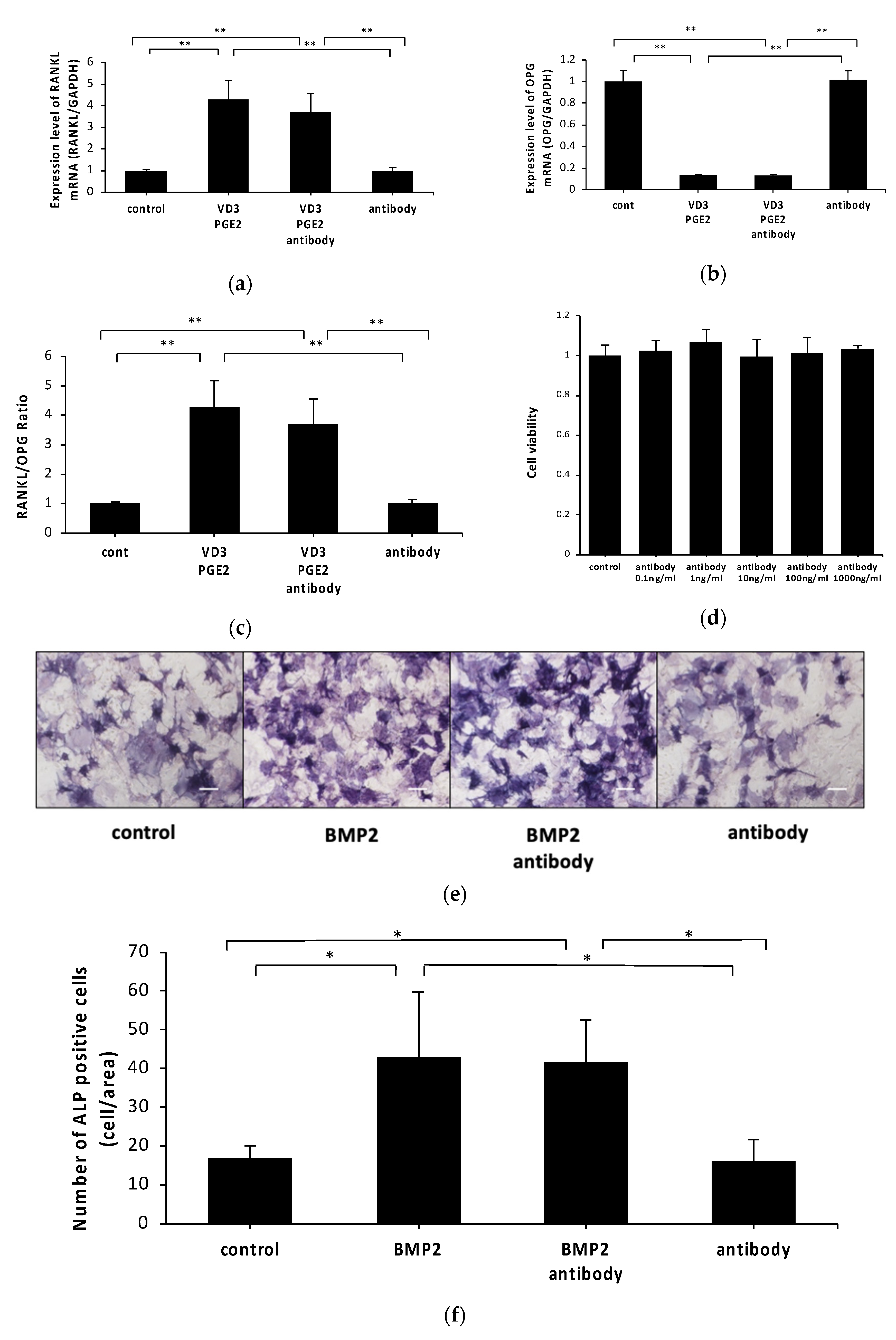 Ijms 21 06120 g002 Ijms 21 06120 g002