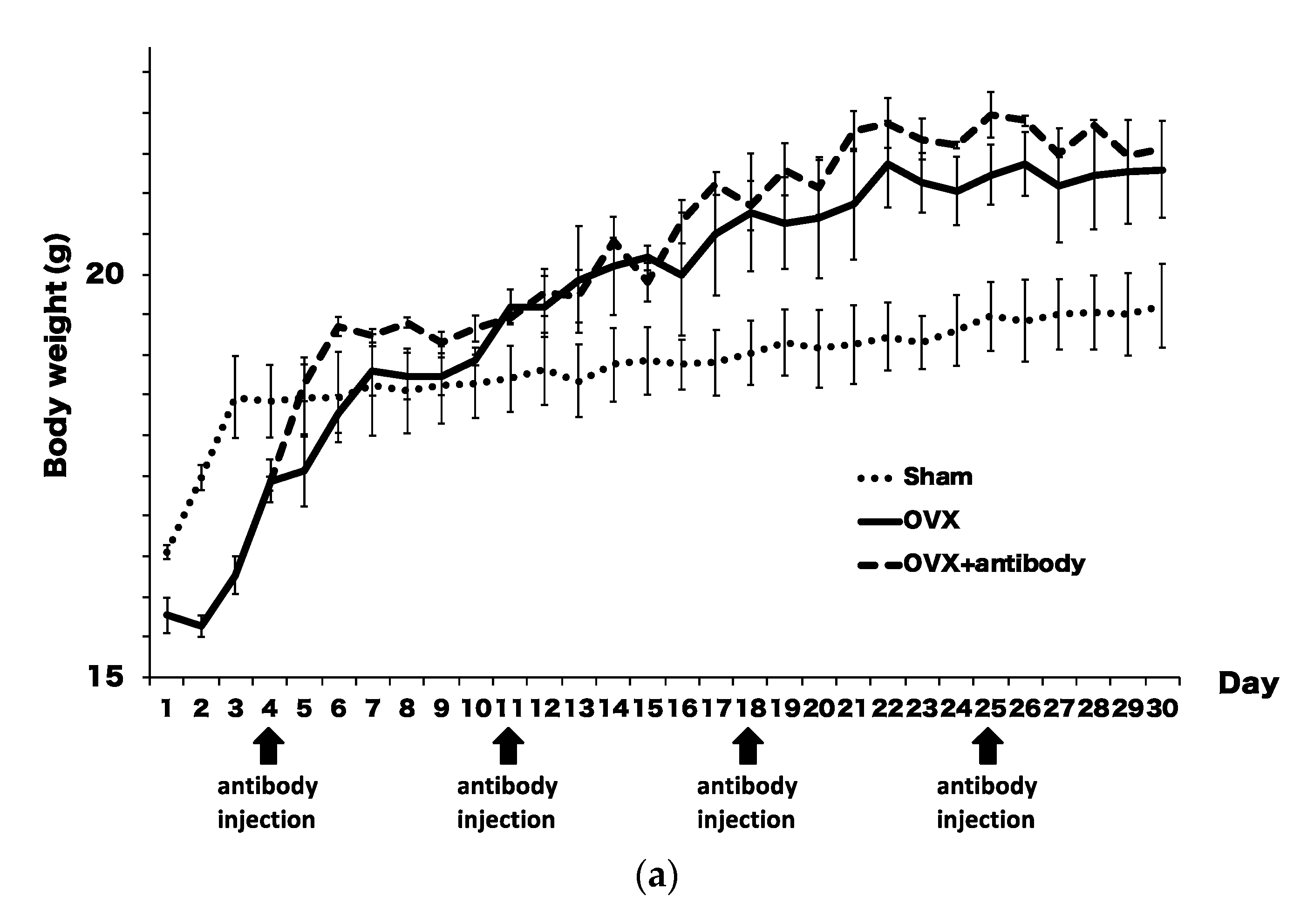 Ijms 21 06120 g003a Ijms 21 06120 g003a
