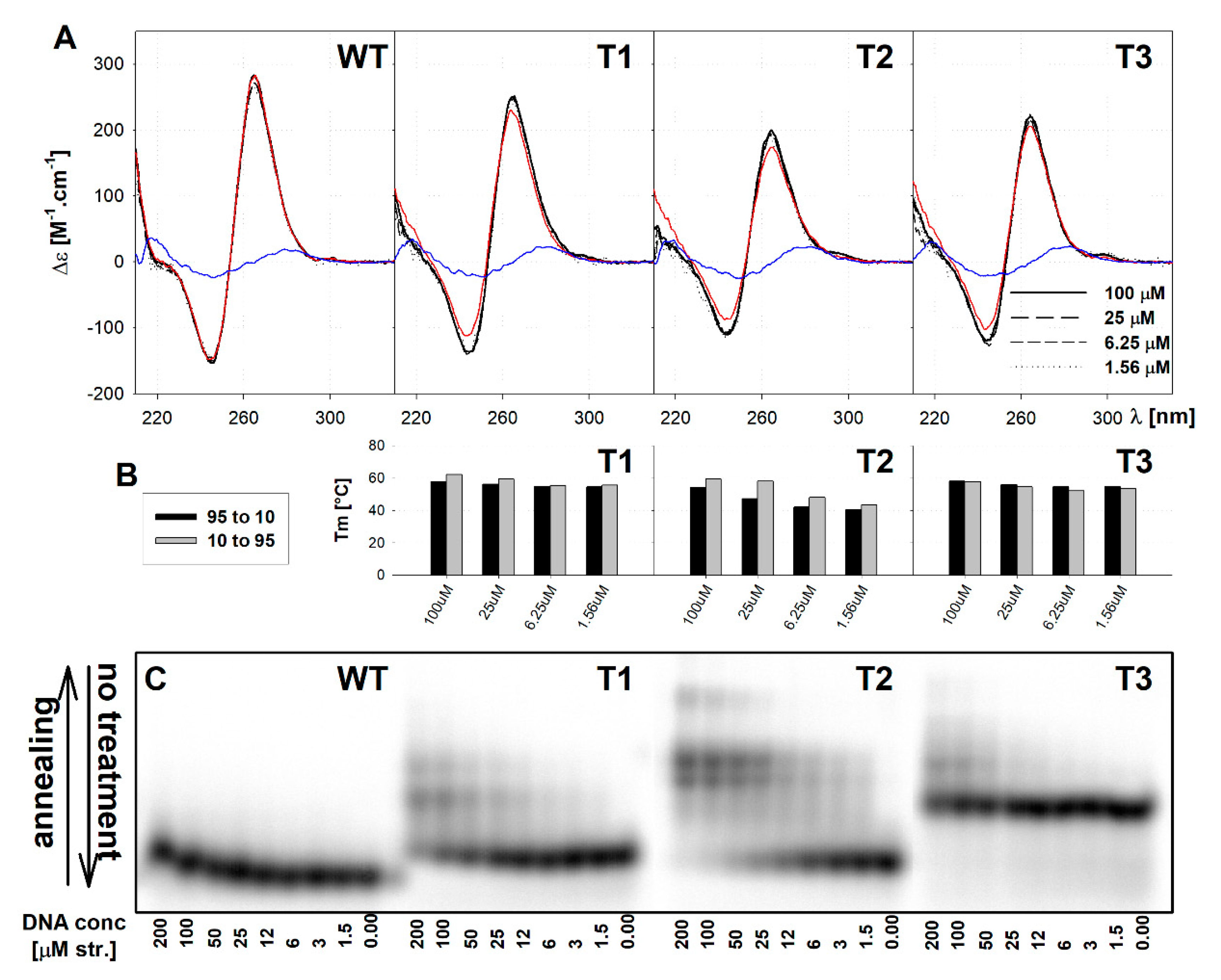 Ijms 21 06123 g004 Ijms 21 06123 g004