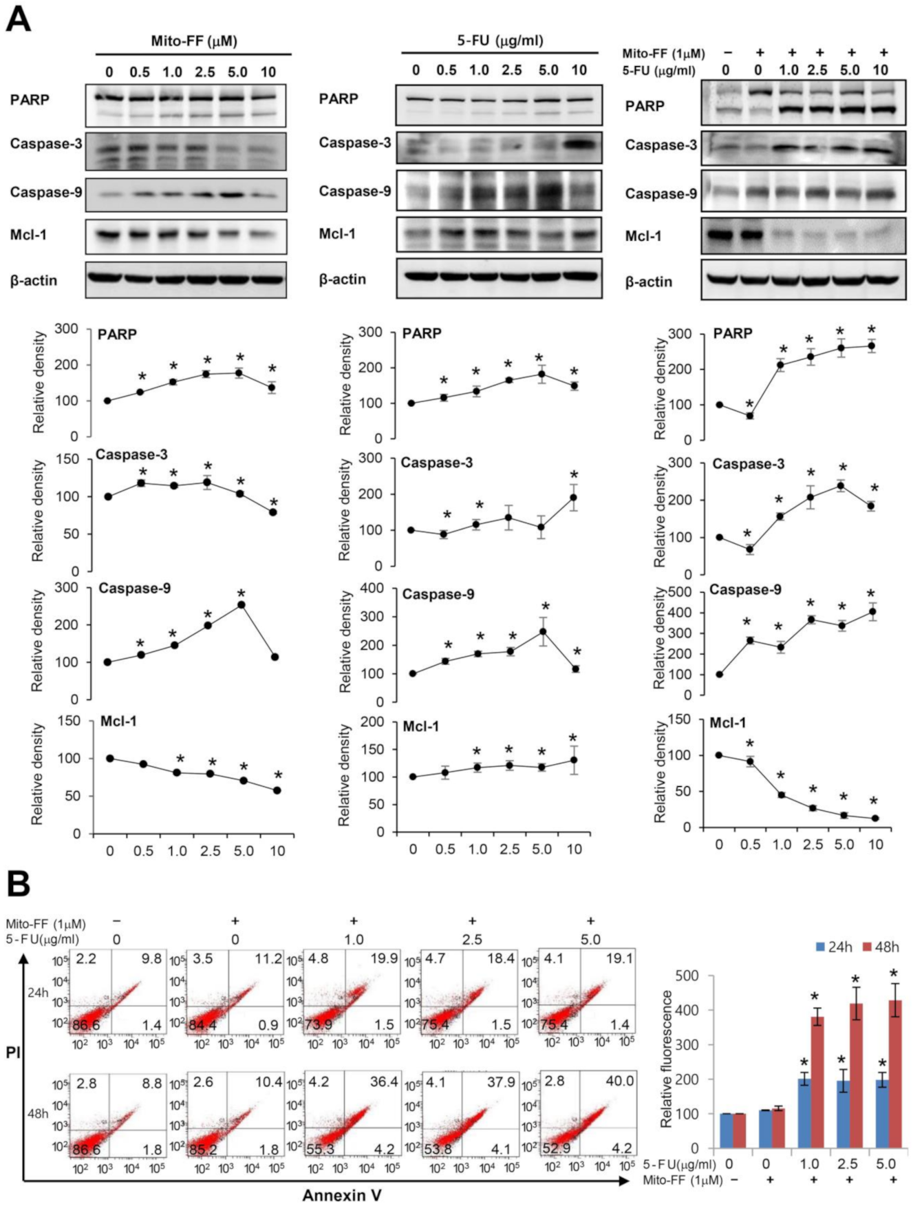 Ijms 21 06126 g002 Ijms 21 06126 g002