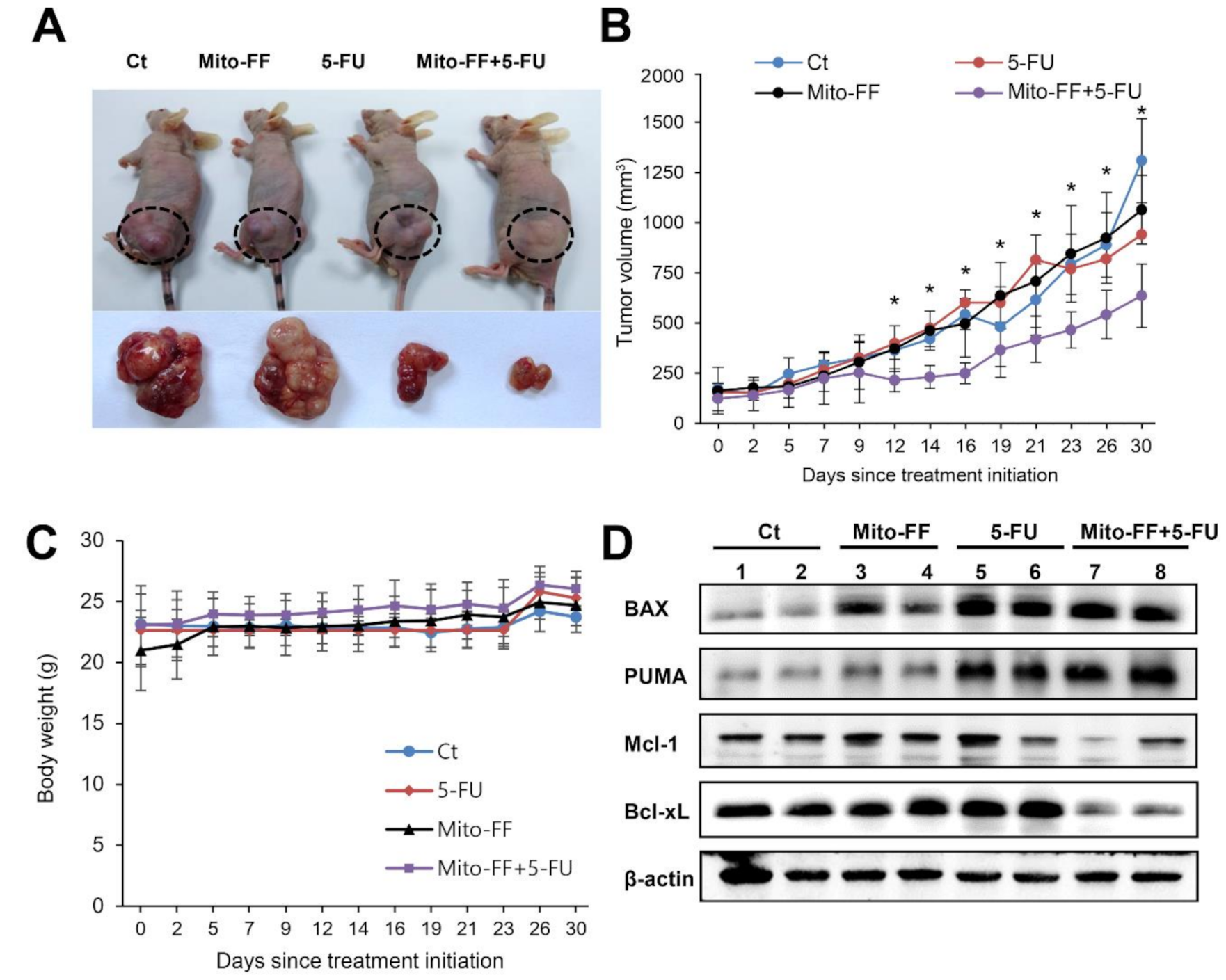 Ijms 21 06126 g004 Ijms 21 06126 g004