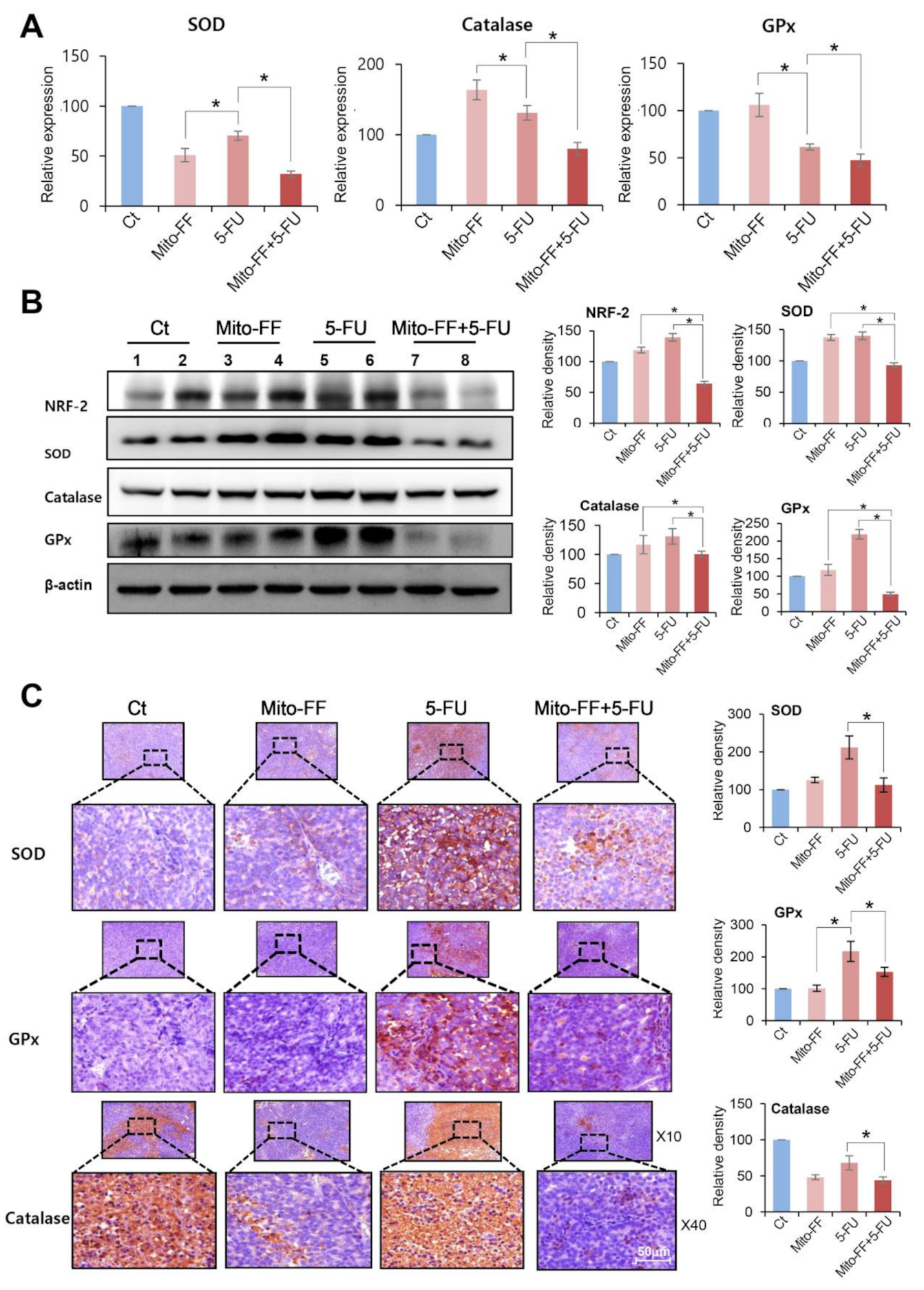 Ijms 21 06126 g005 Ijms 21 06126 g005