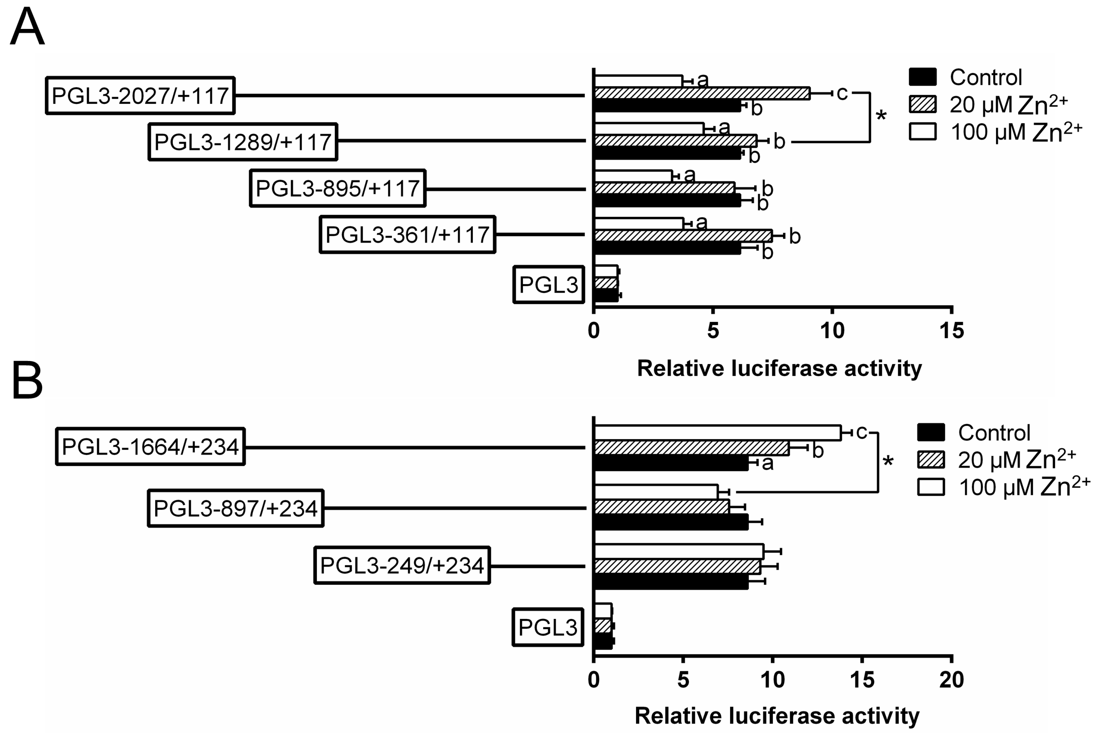 Ijms 21 06135 g003 Ijms 21 06135 g003