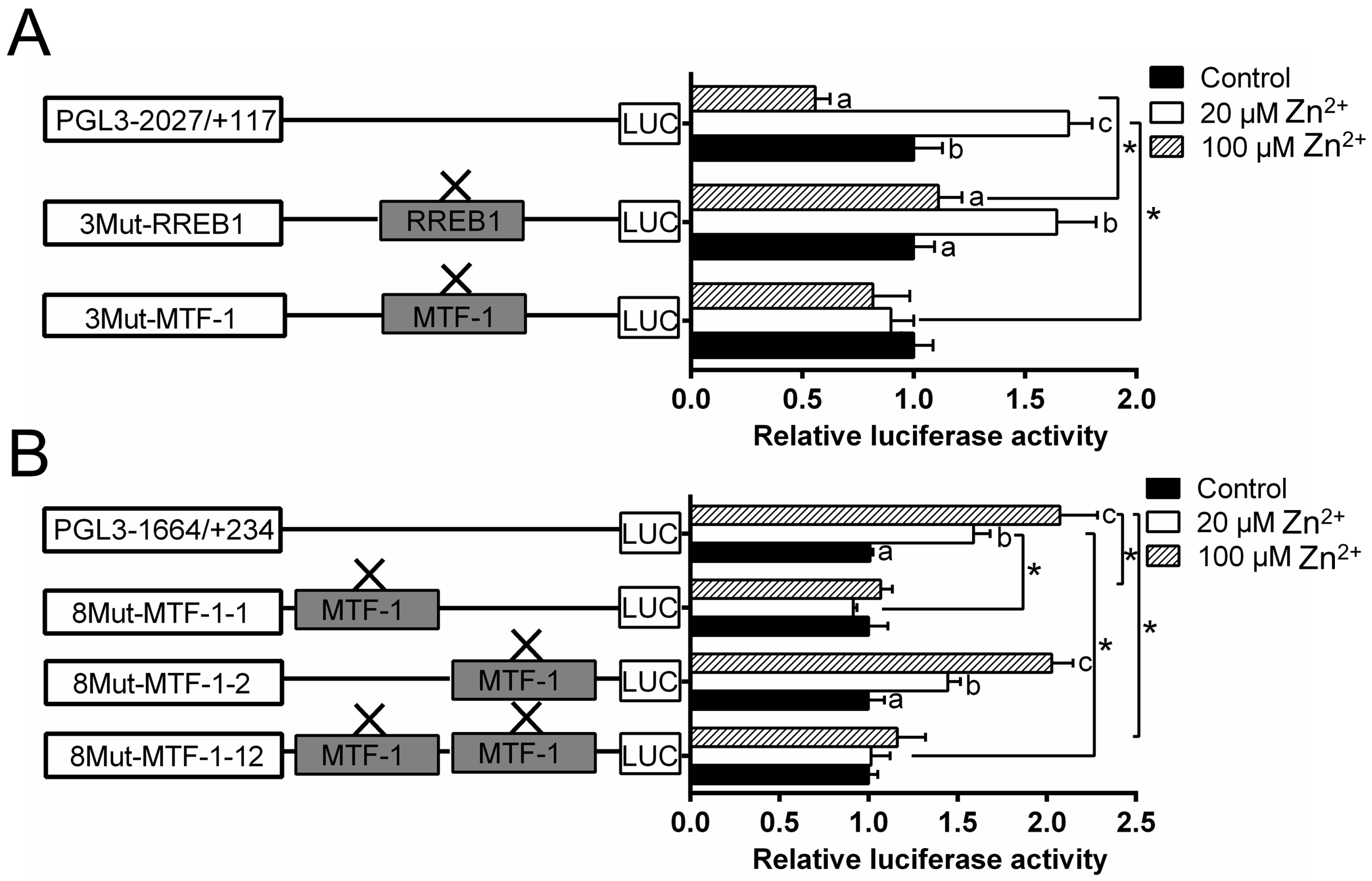 Ijms 21 06135 g004 Ijms 21 06135 g004