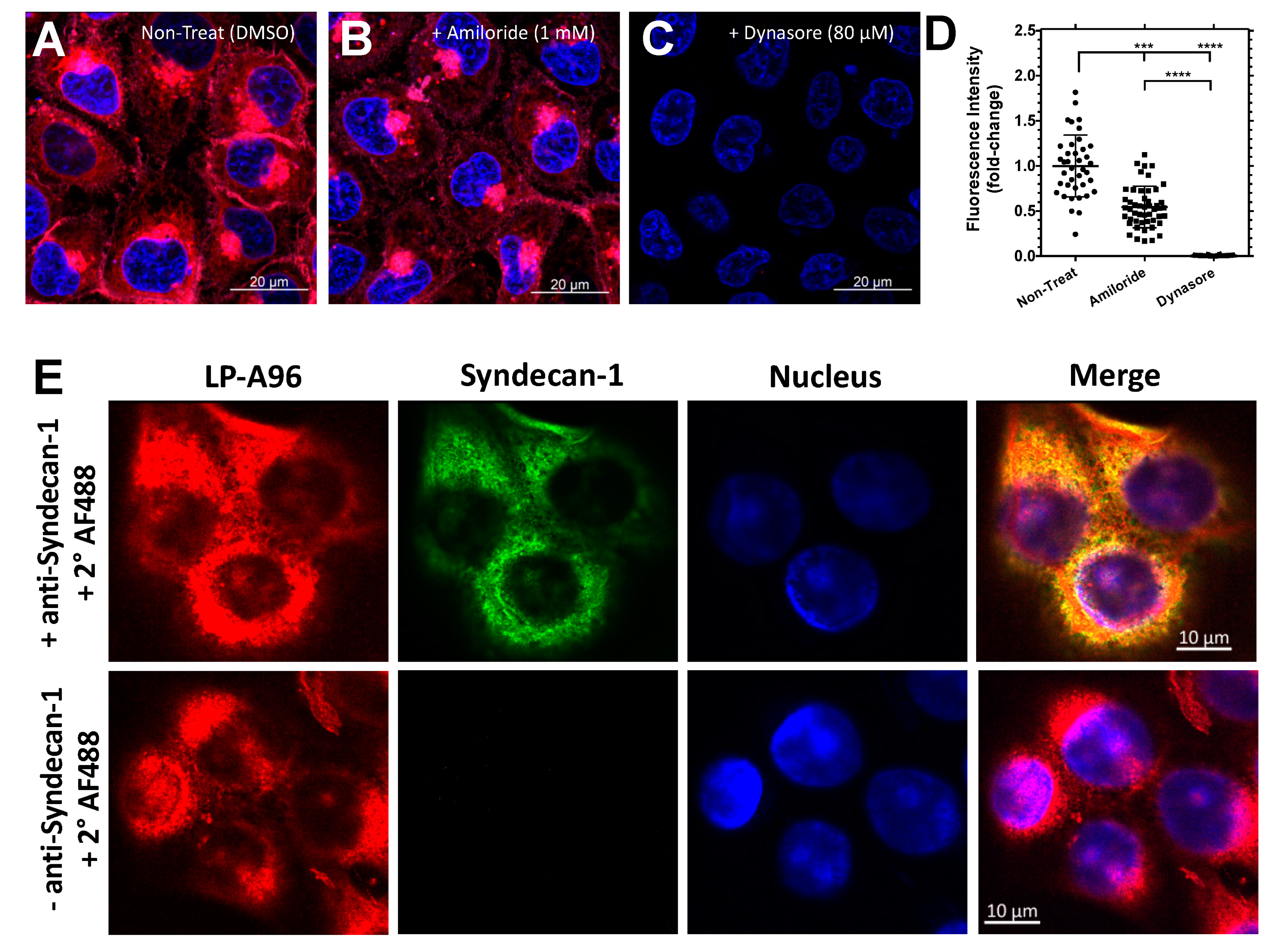 Ijms 21 06157 g006 Ijms 21 06157 g006