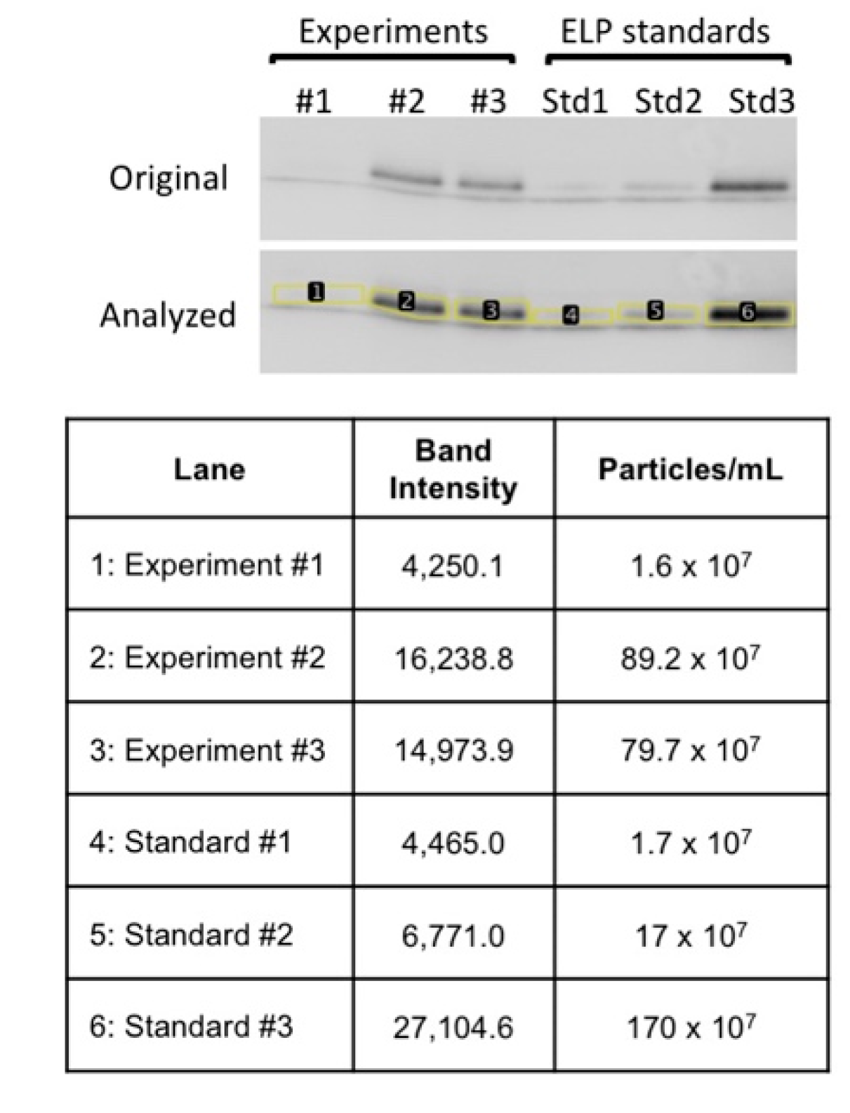 Ijms 21 06157 g0a2 Ijms 21 06157 g0a2