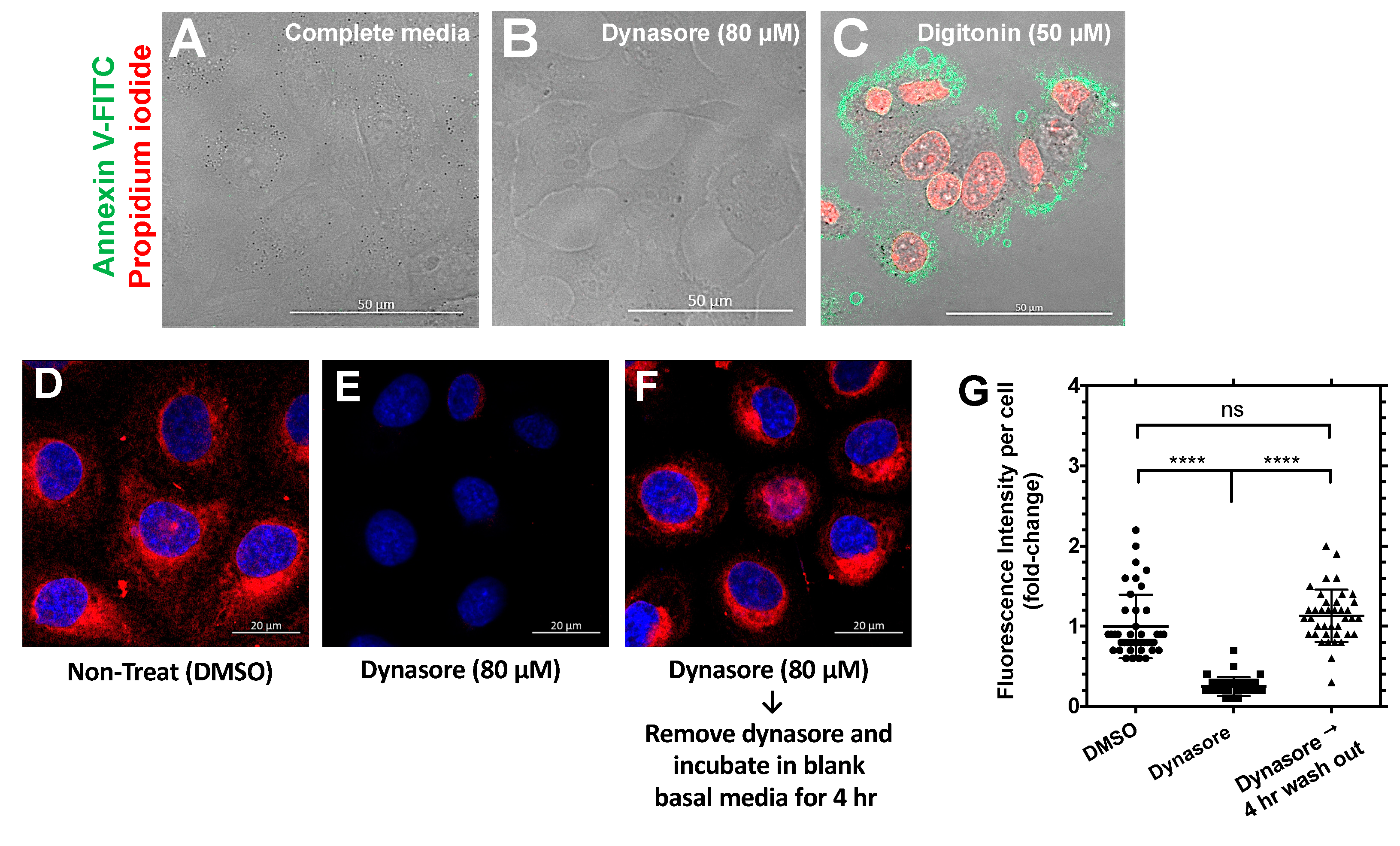 Ijms 21 06157 g0a3 Ijms 21 06157 g0a3