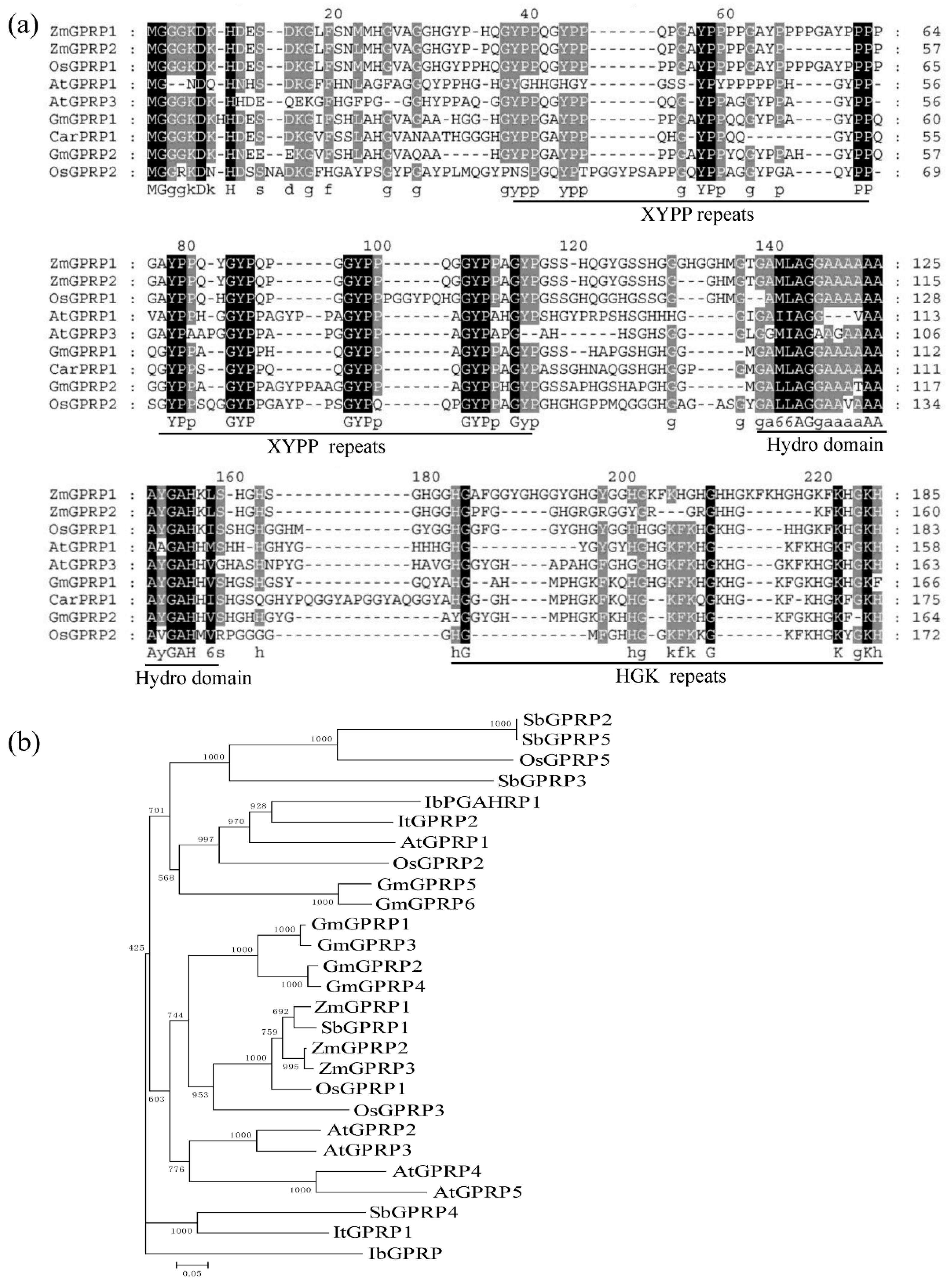 Ijms 21 06168 g001 Ijms 21 06168 g001