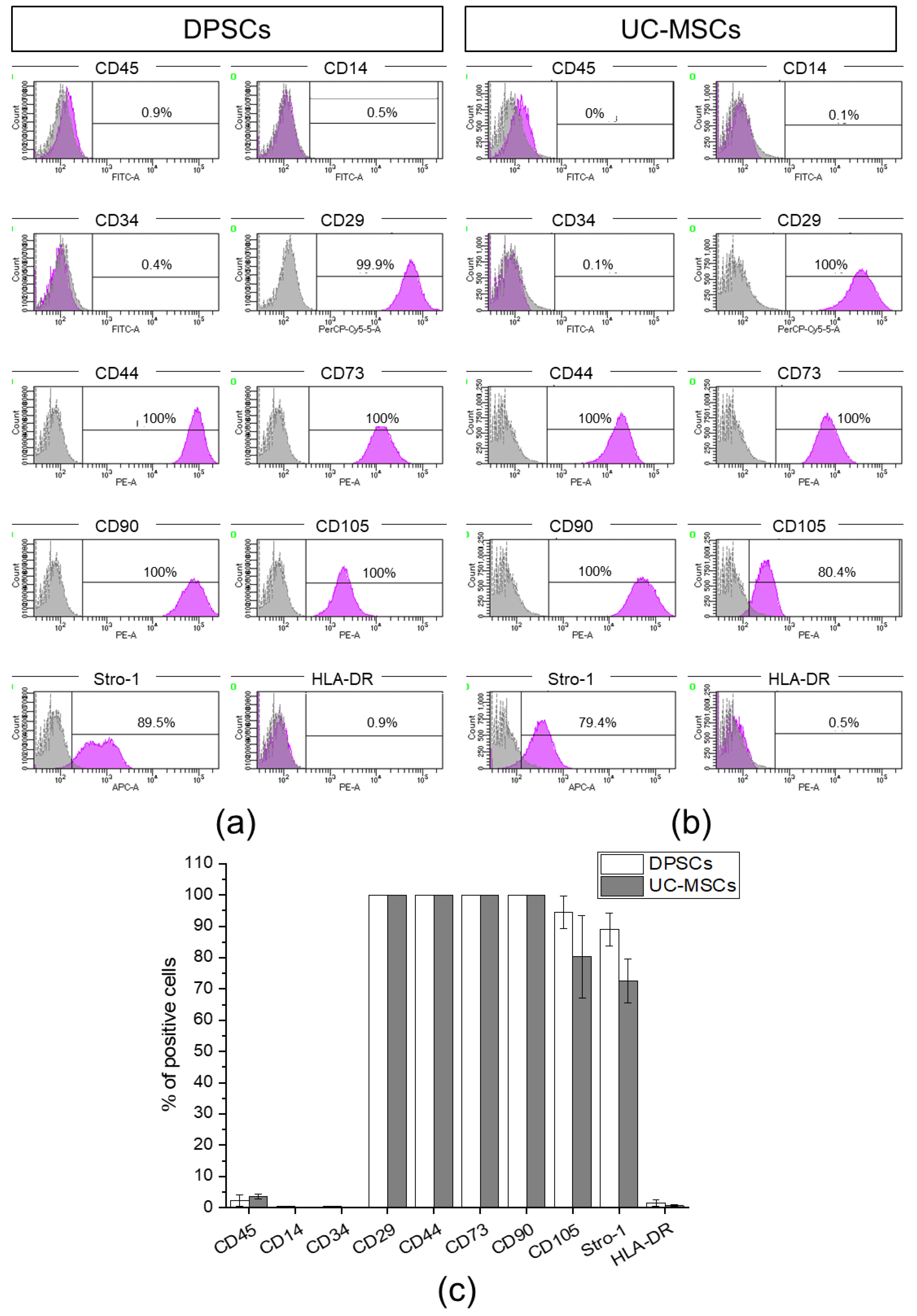 Ijms 21 06172 g002 Ijms 21 06172 g002