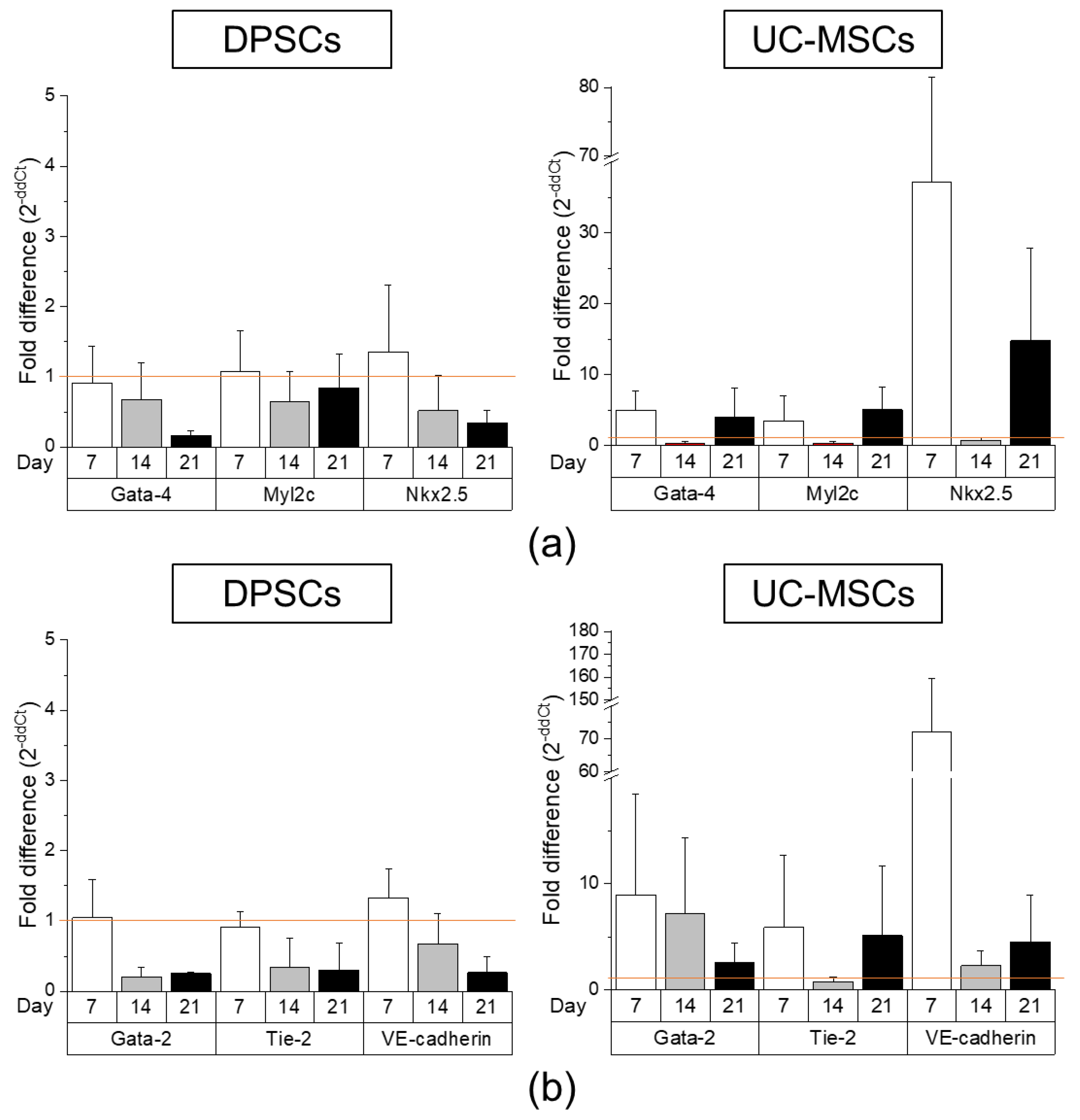 Ijms 21 06172 g005 Ijms 21 06172 g005