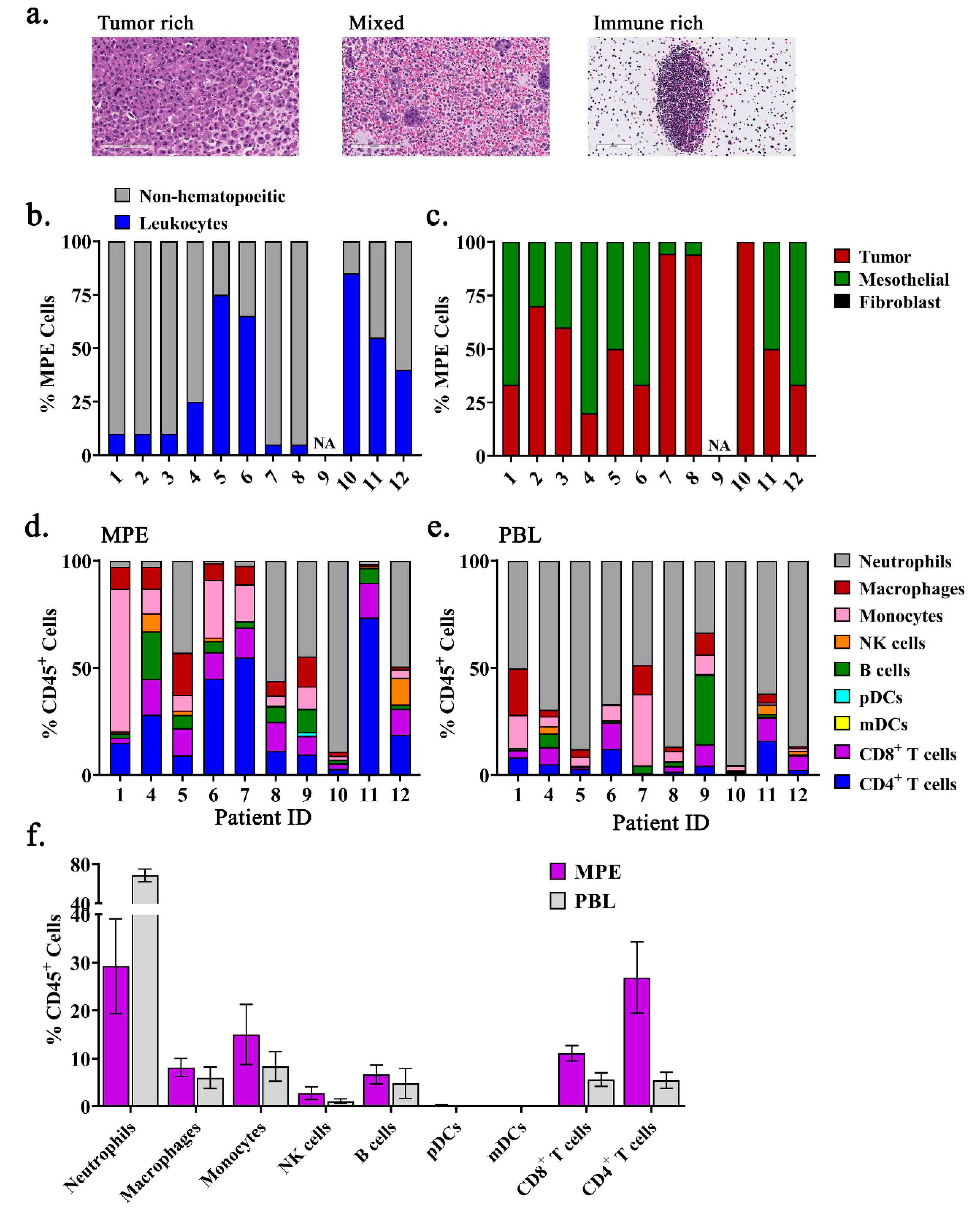 Ijms 21 06178 g001 Ijms 21 06178 g001