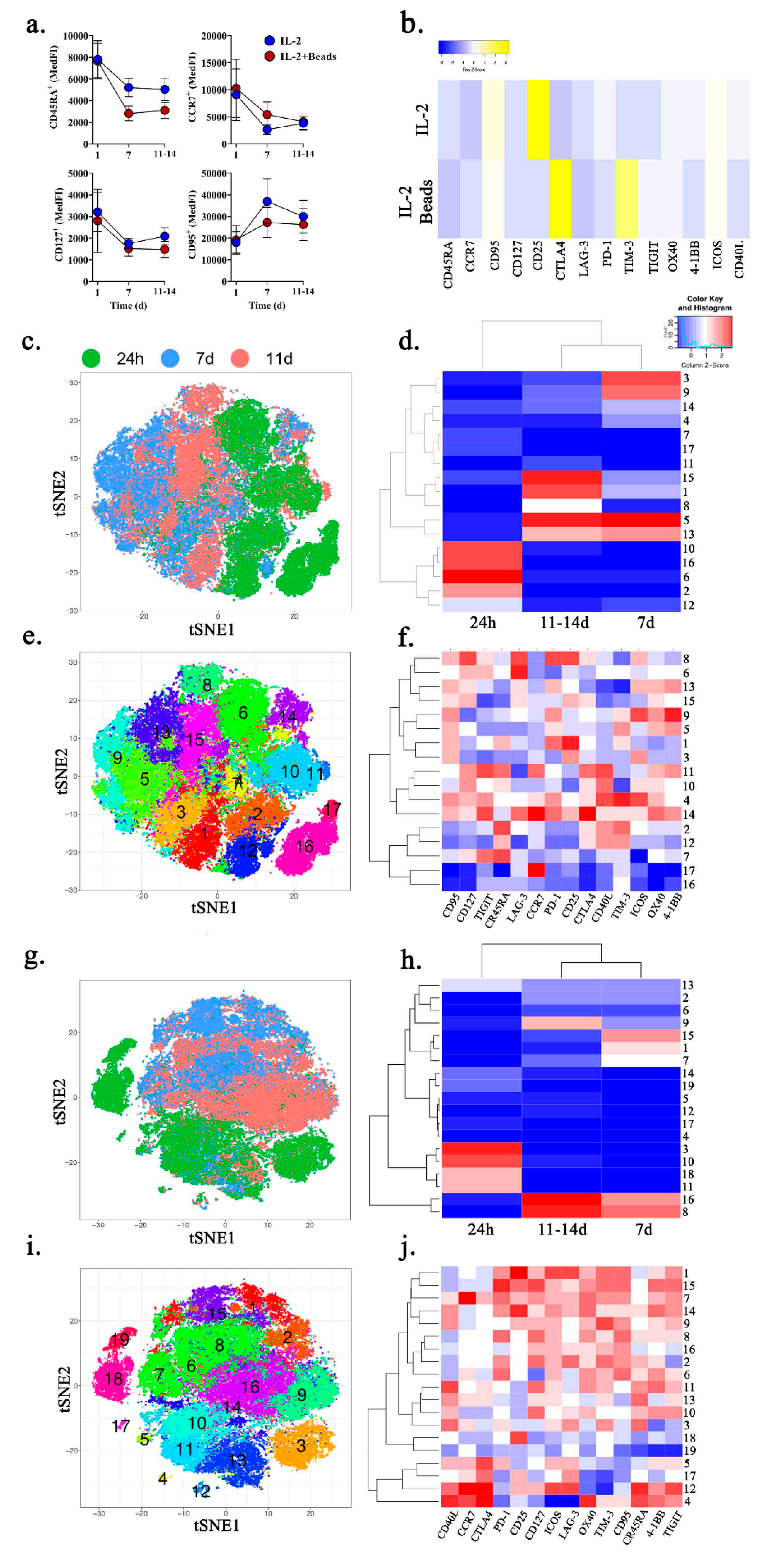 Ijms 21 06178 g003 Ijms 21 06178 g003