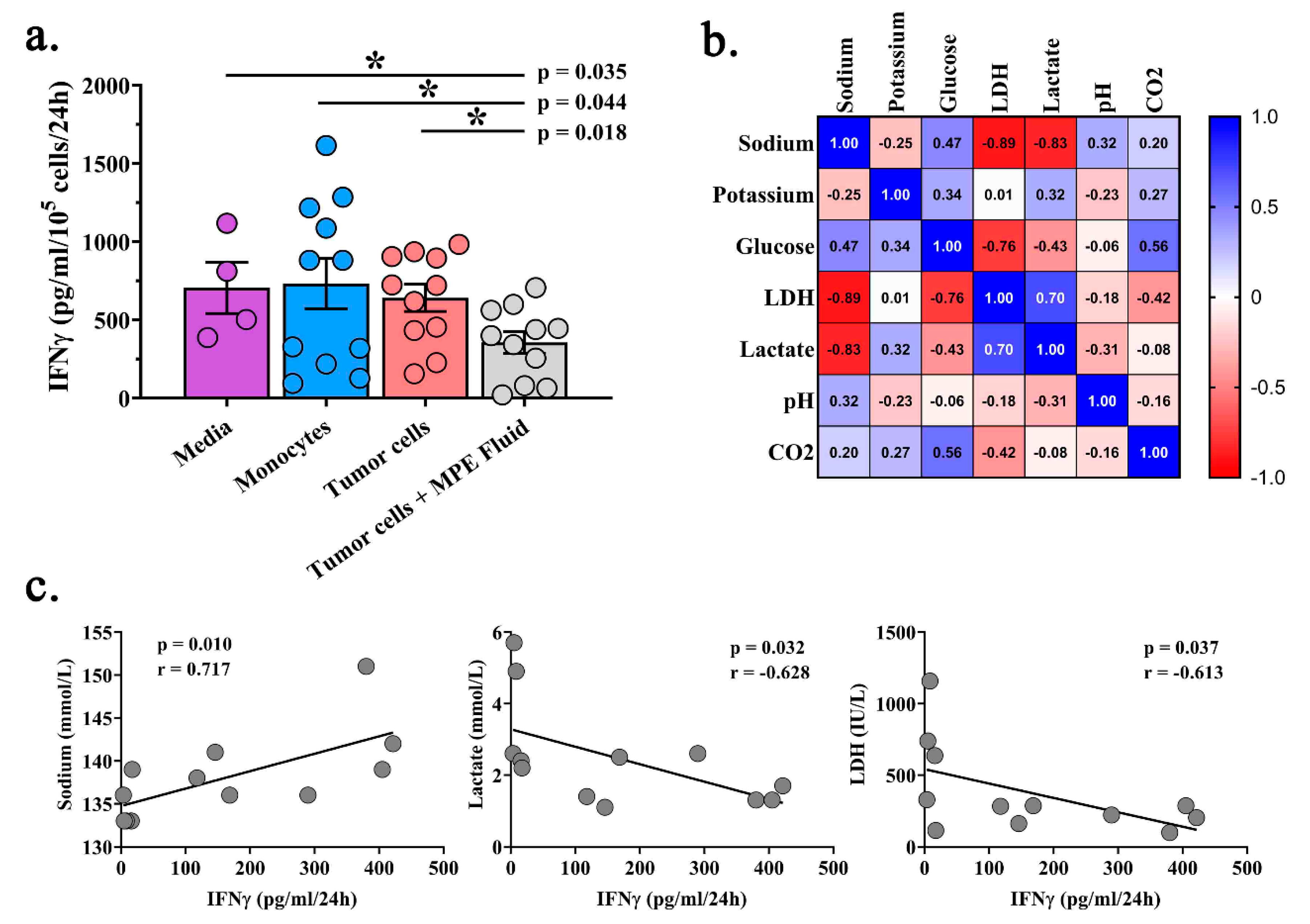 Ijms 21 06178 g004 Ijms 21 06178 g004