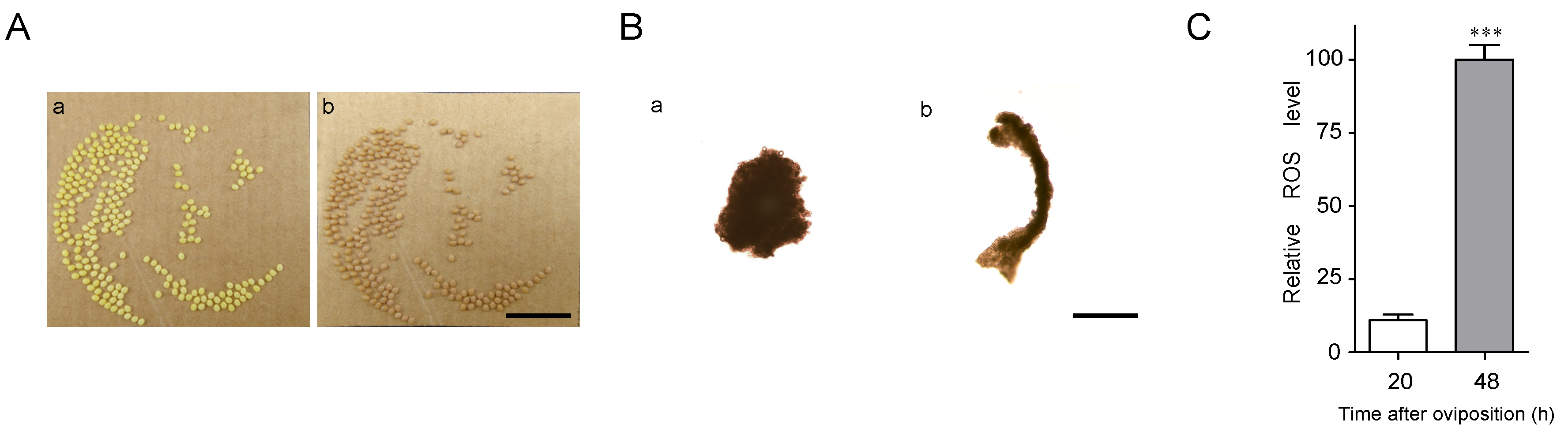 Ijms 21 06180 g001 Ijms 21 06180 g001