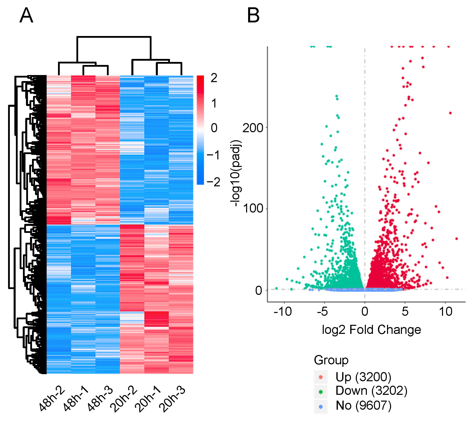 Ijms 21 06180 g002 Ijms 21 06180 g002