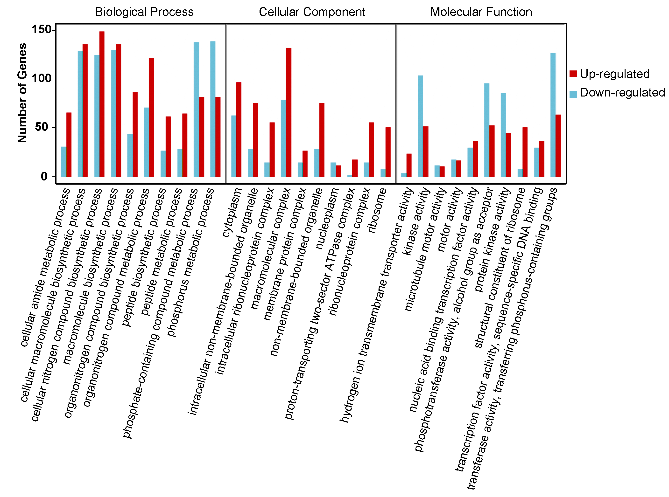 Ijms 21 06180 g003 Ijms 21 06180 g003