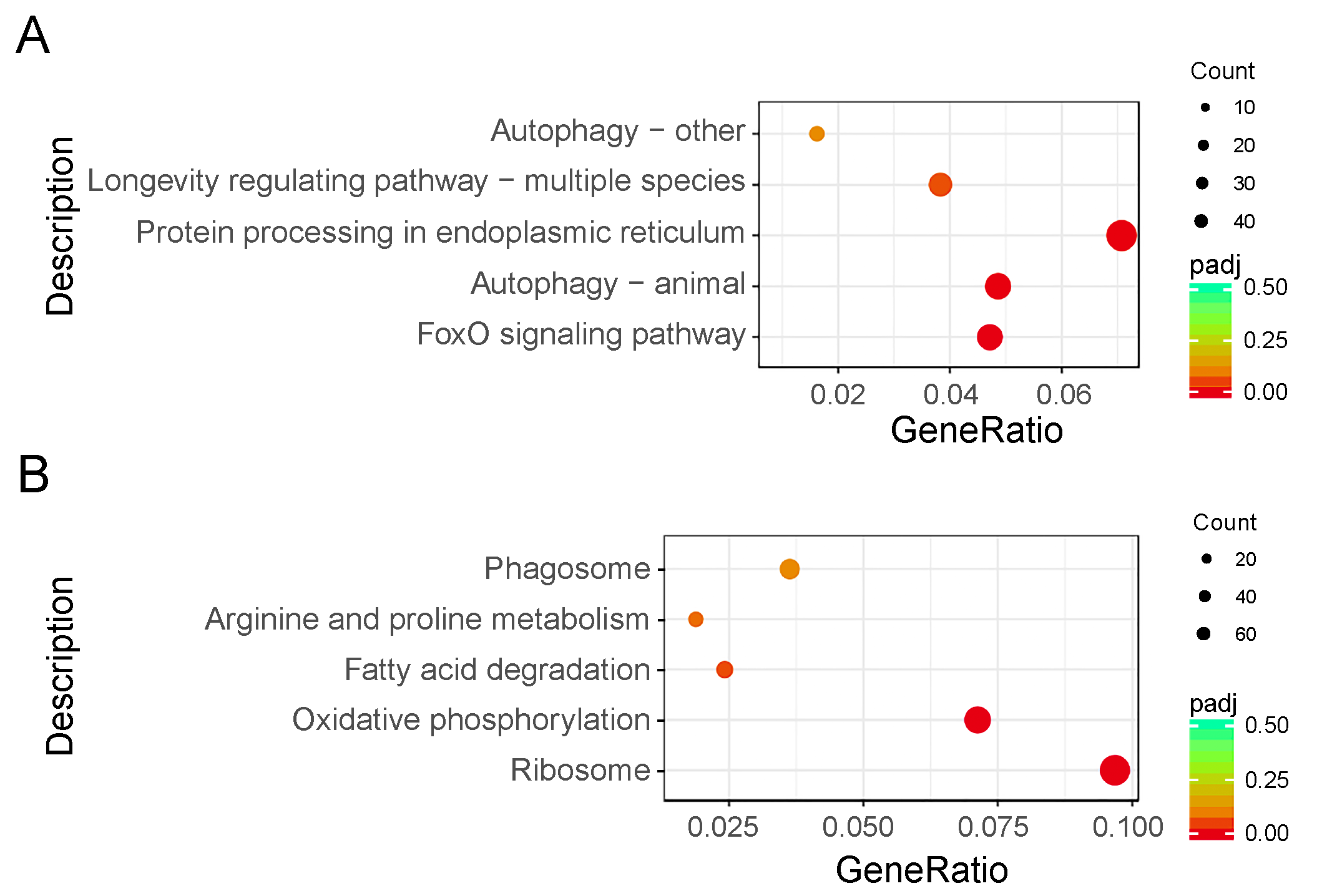 Ijms 21 06180 g004 Ijms 21 06180 g004