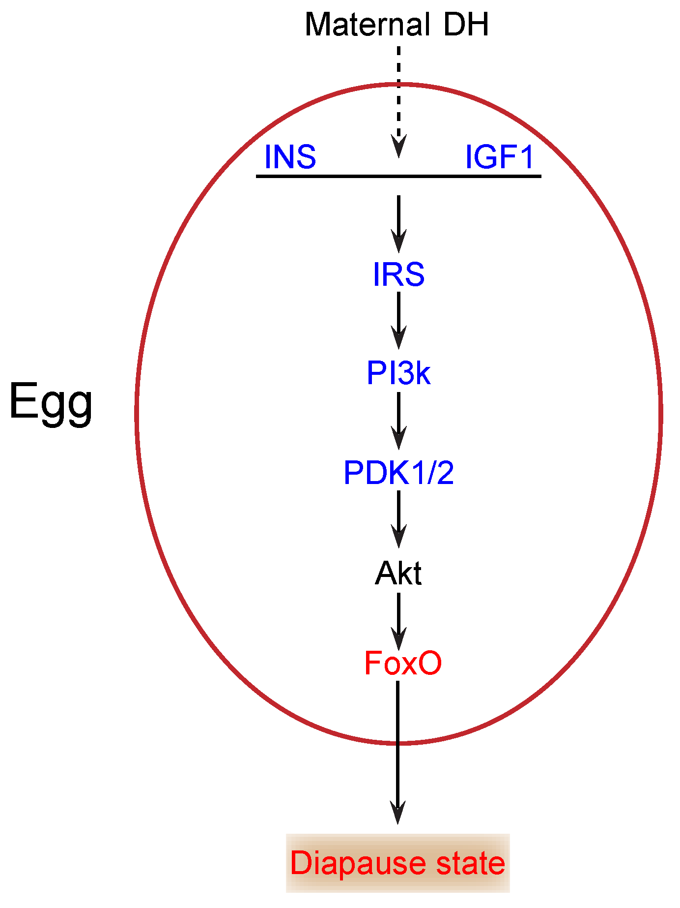 Ijms 21 06180 g006 Ijms 21 06180 g006