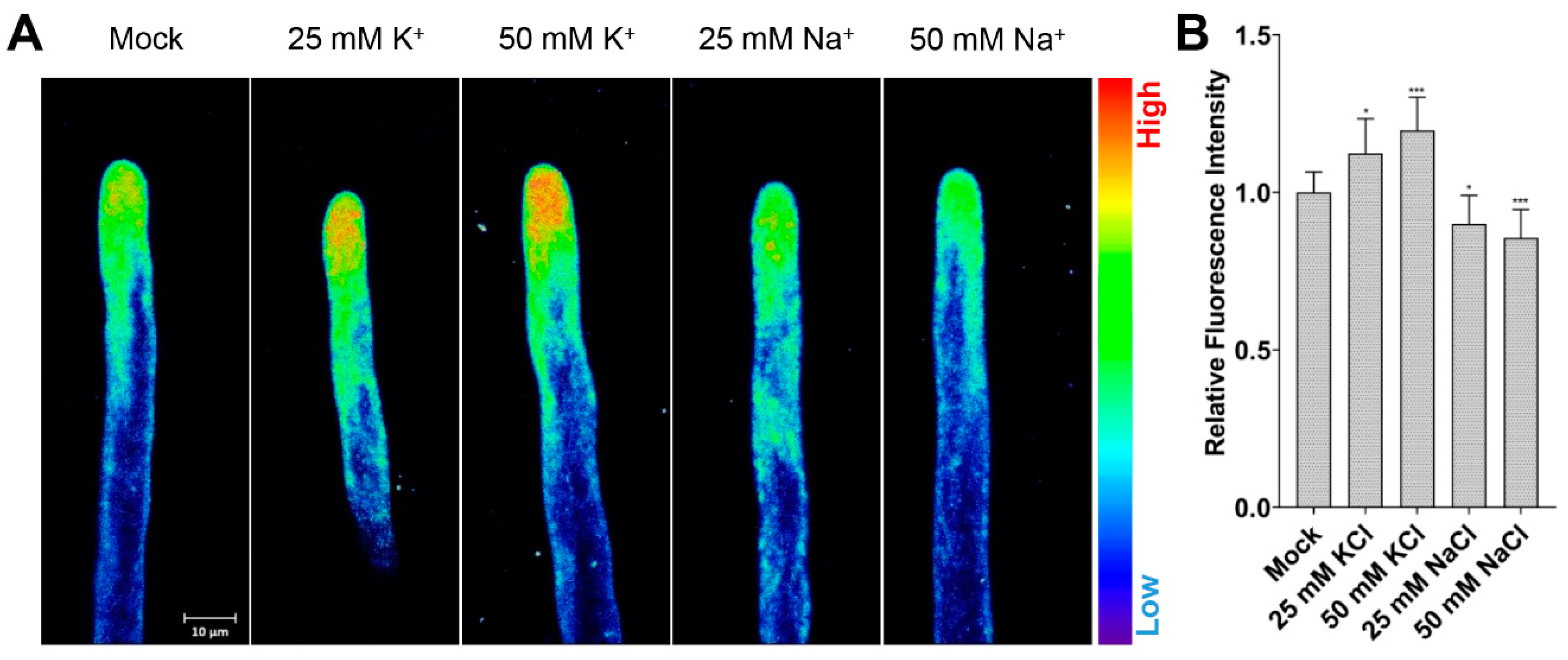 Ijms 21 06184 g001 Ijms 21 06184 g001